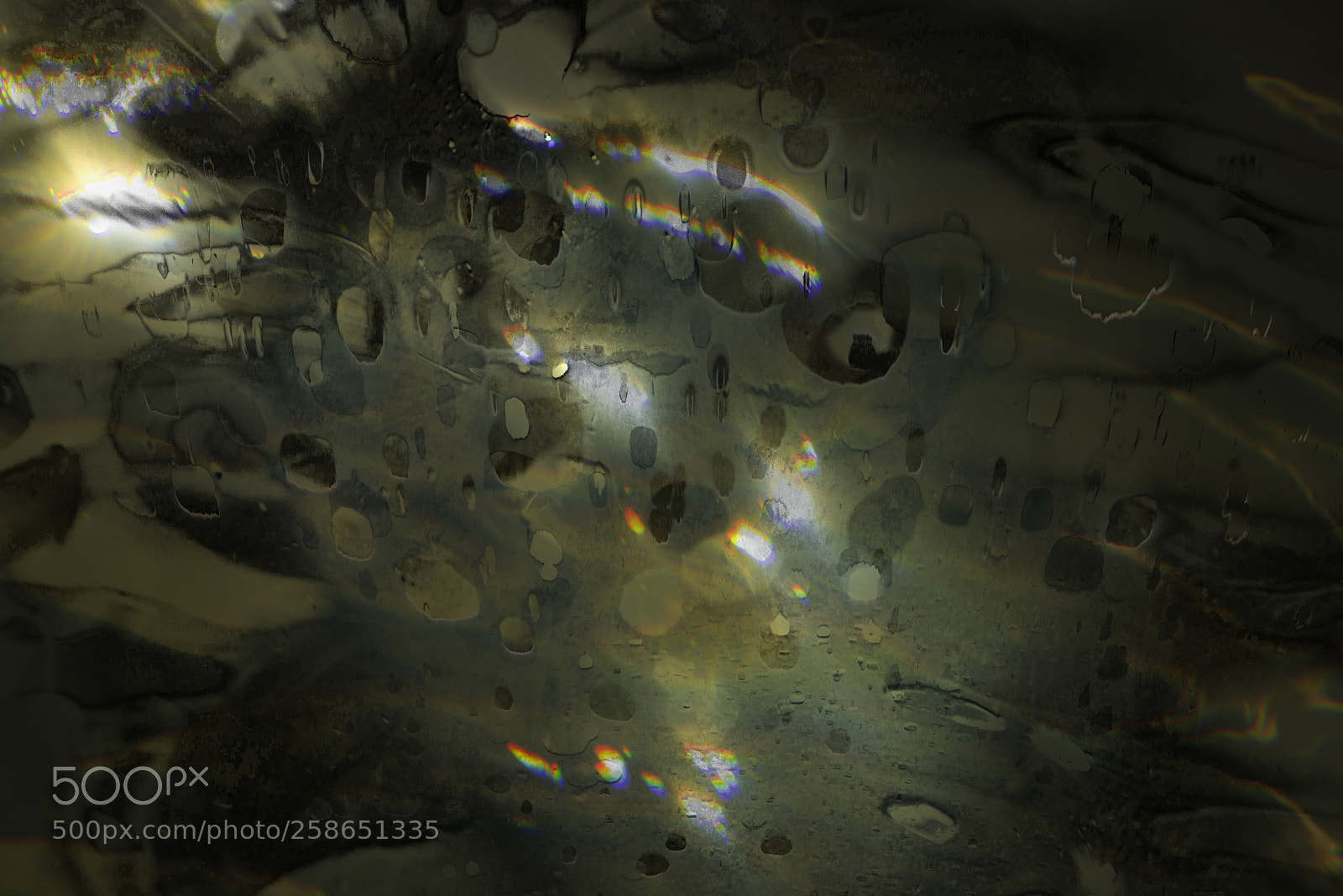 Nikon D600 sample photo. Under the sea photography