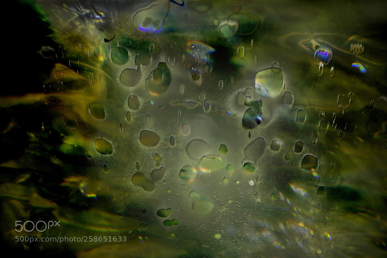 Nikon D600 sample photo. Under the sea 5 photography