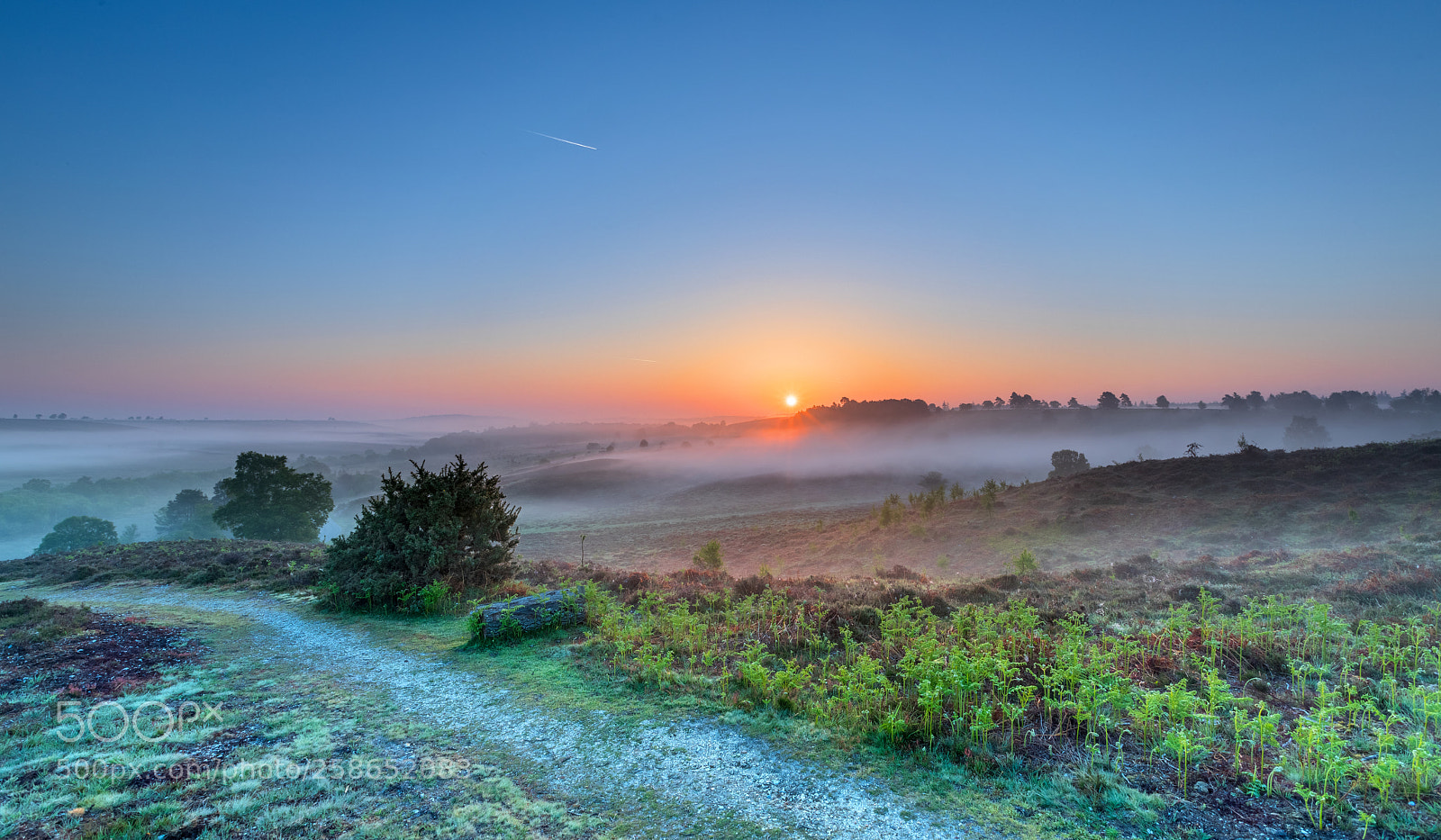 Canon EOS 5D Mark IV sample photo. Burning off the mist photography