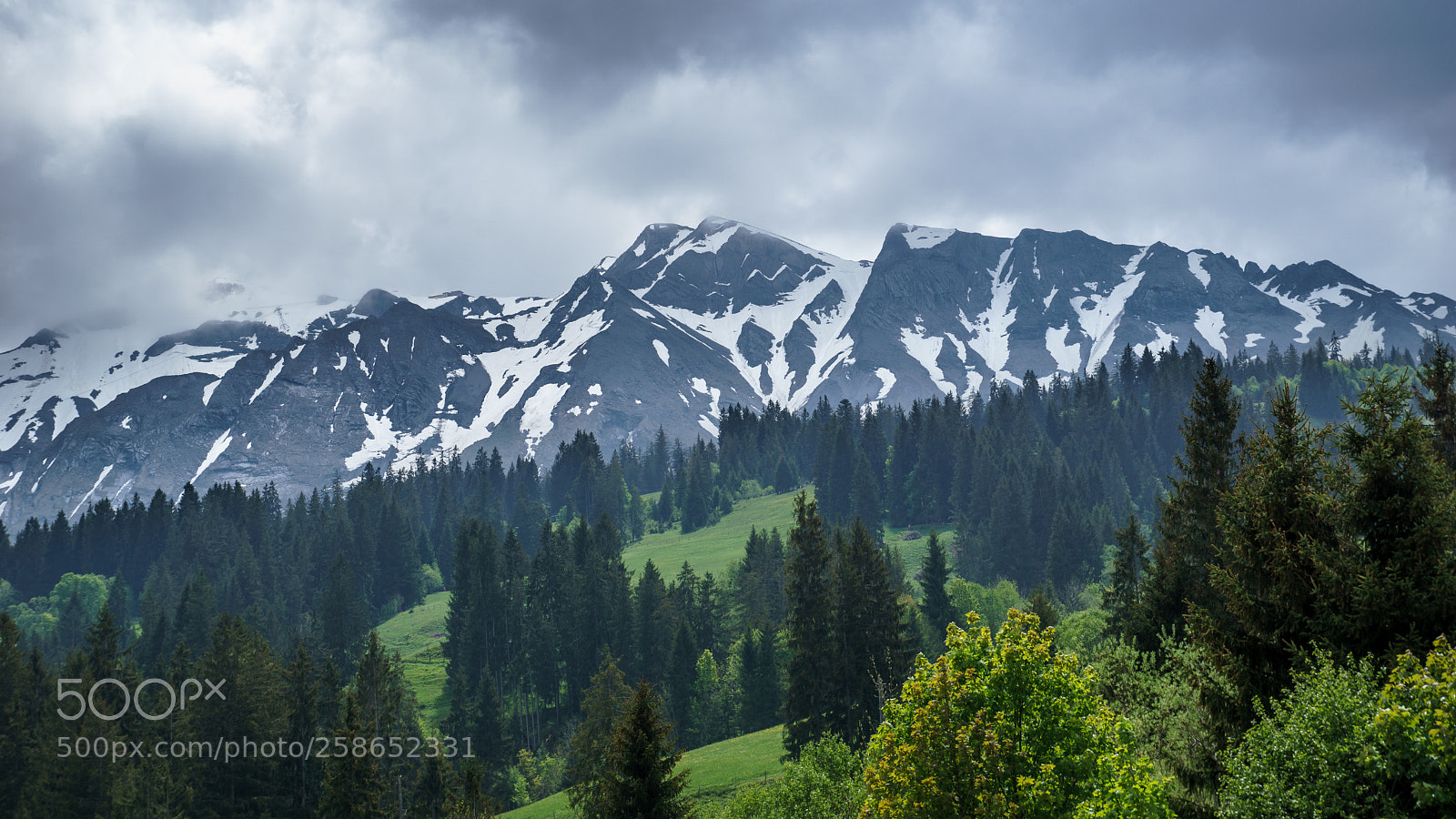 Sony ILCA-77M2 sample photo. Rothornblick photography