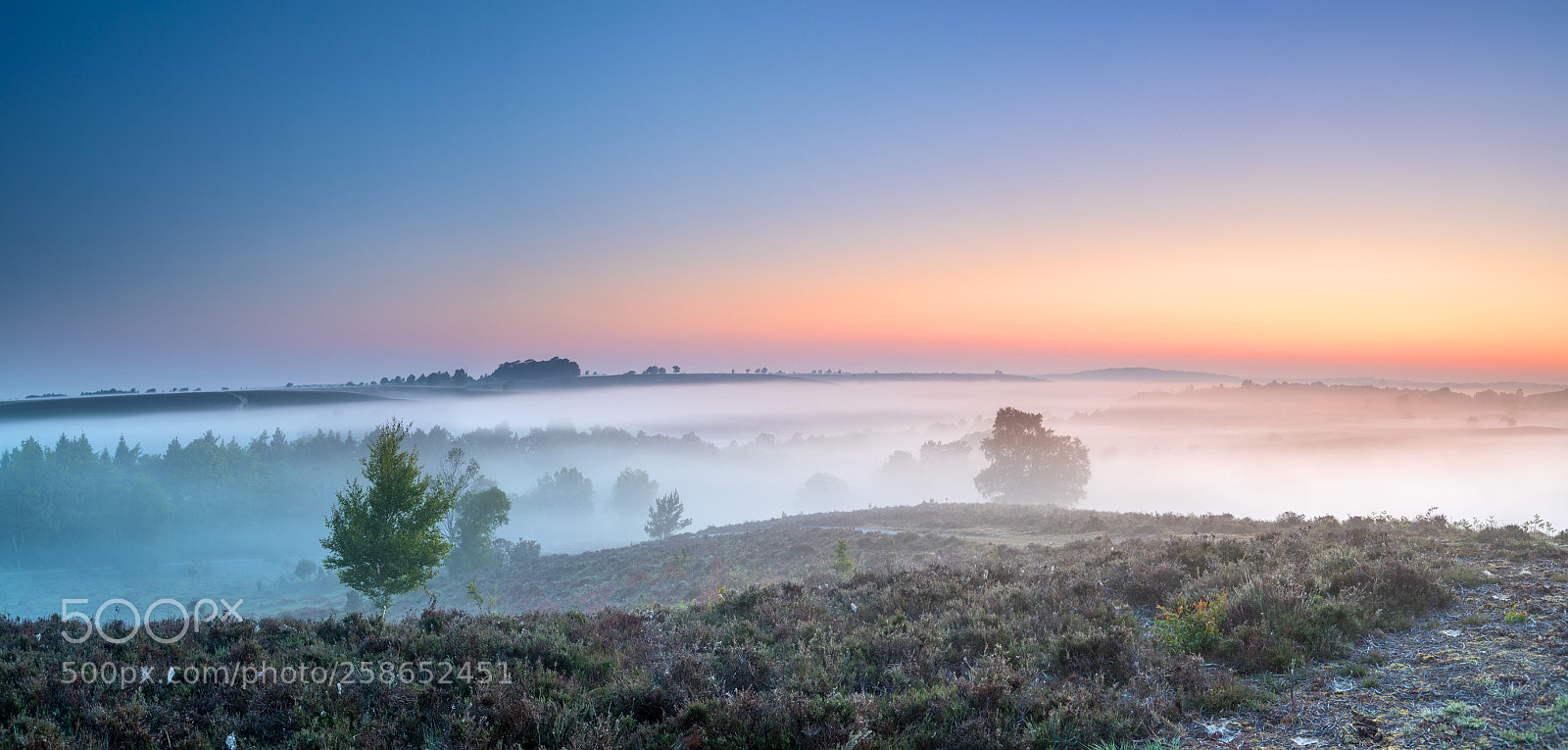 Canon EOS 5D Mark IV sample photo. Misty panorama photography