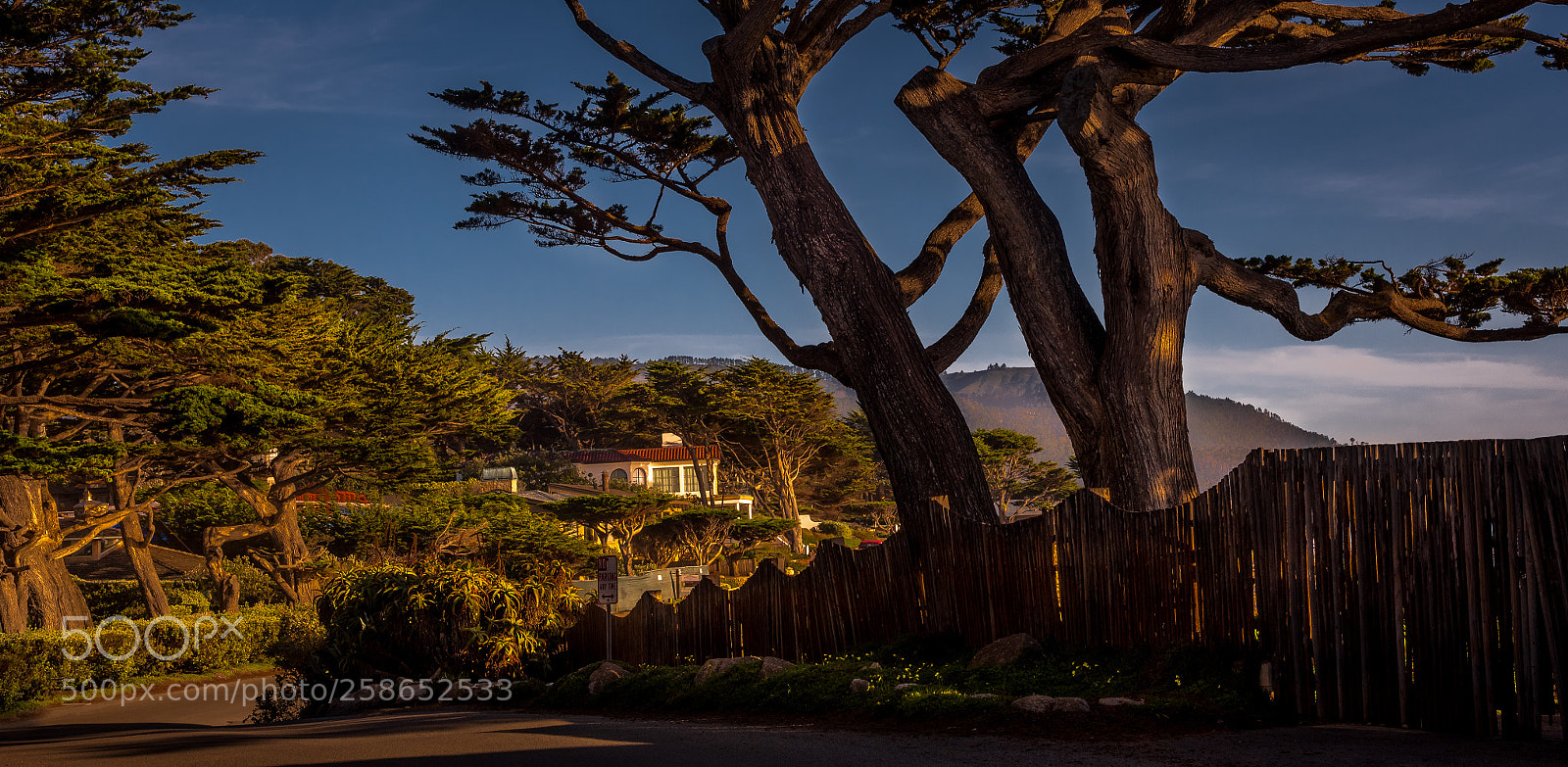 Nikon D750 sample photo. A late afternoon in photography