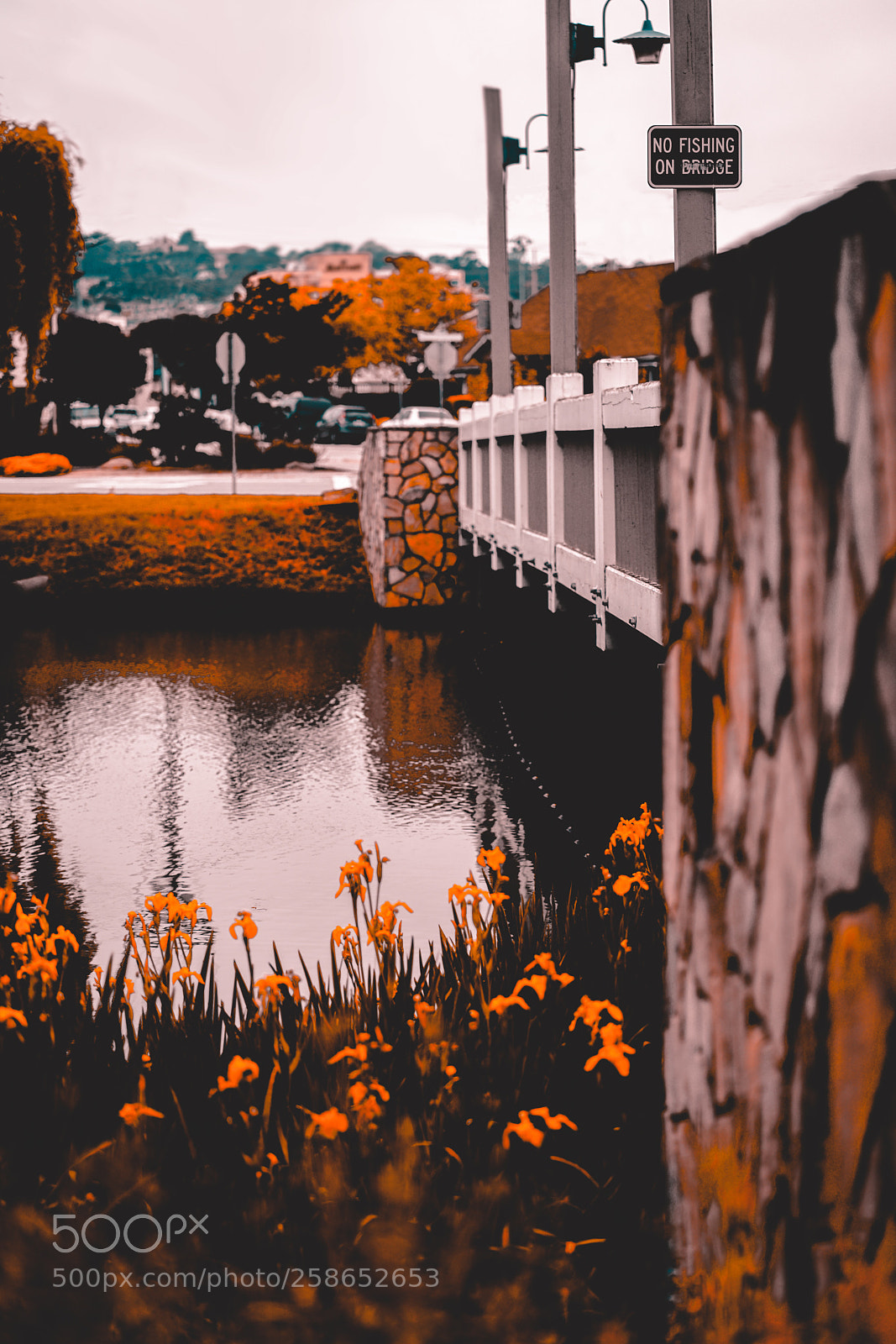 Sony a7R II sample photo. On the other side photography