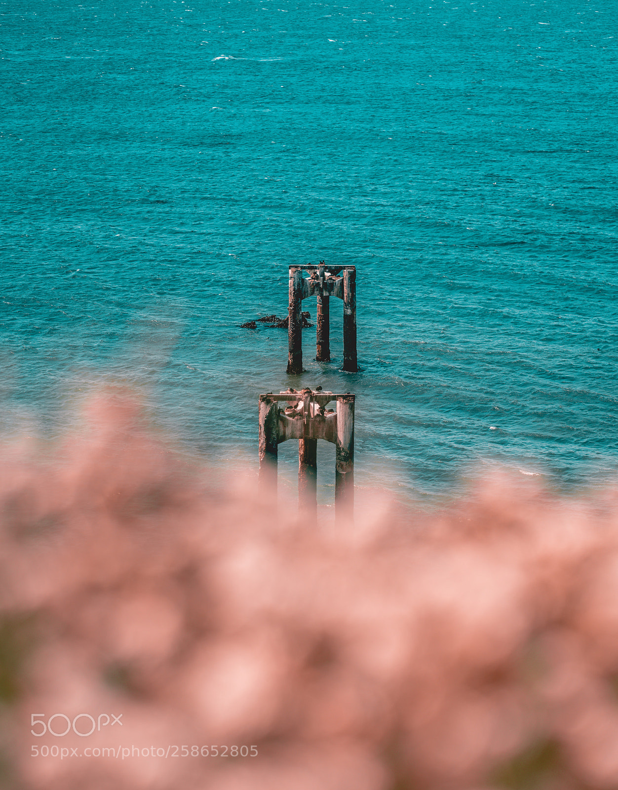 Sony a7R II sample photo. What lies ahead photography
