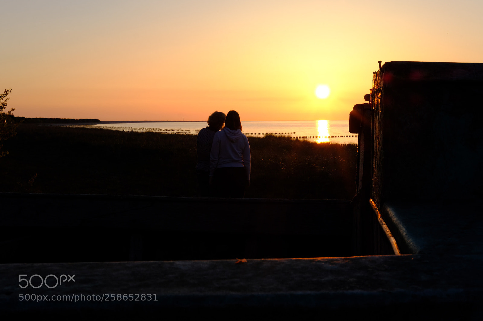Fujifilm X-T2 sample photo. Staring at the sun  photography