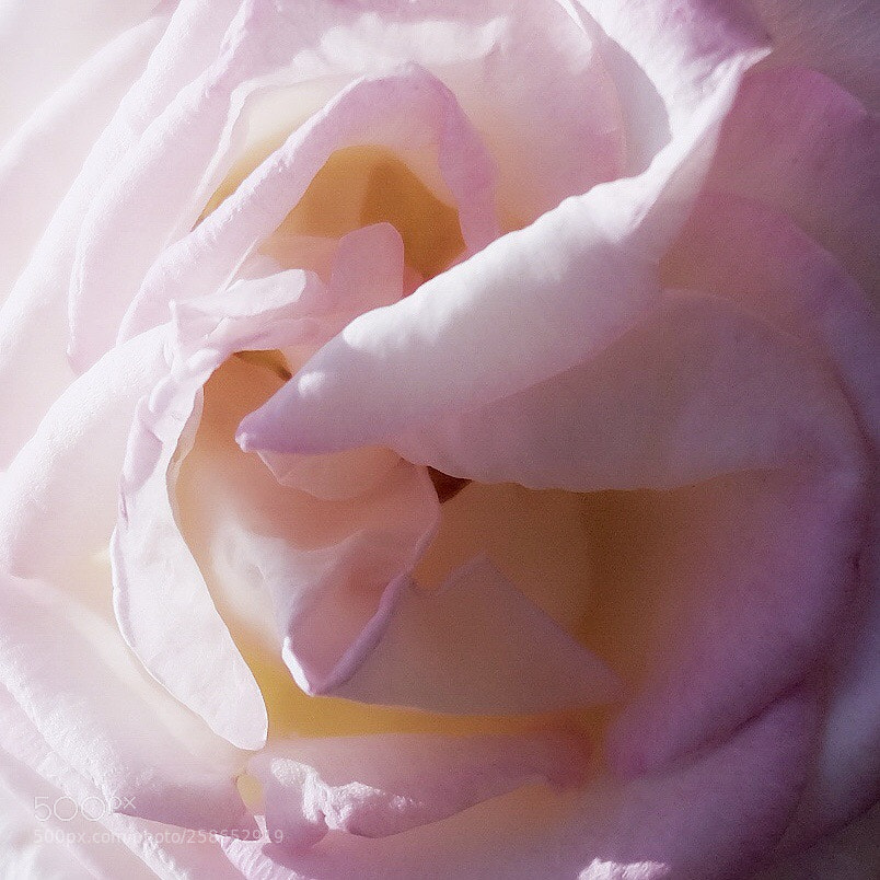 Fujifilm X-T1 sample photo. Snug photography