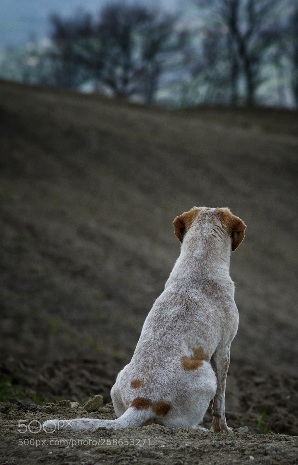 Nikon D7200 sample photo. Untitled photography