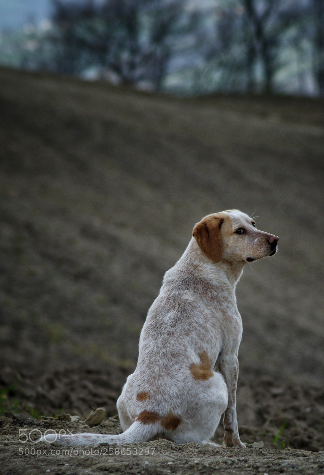 Nikon D7200 sample photo. Untitled photography