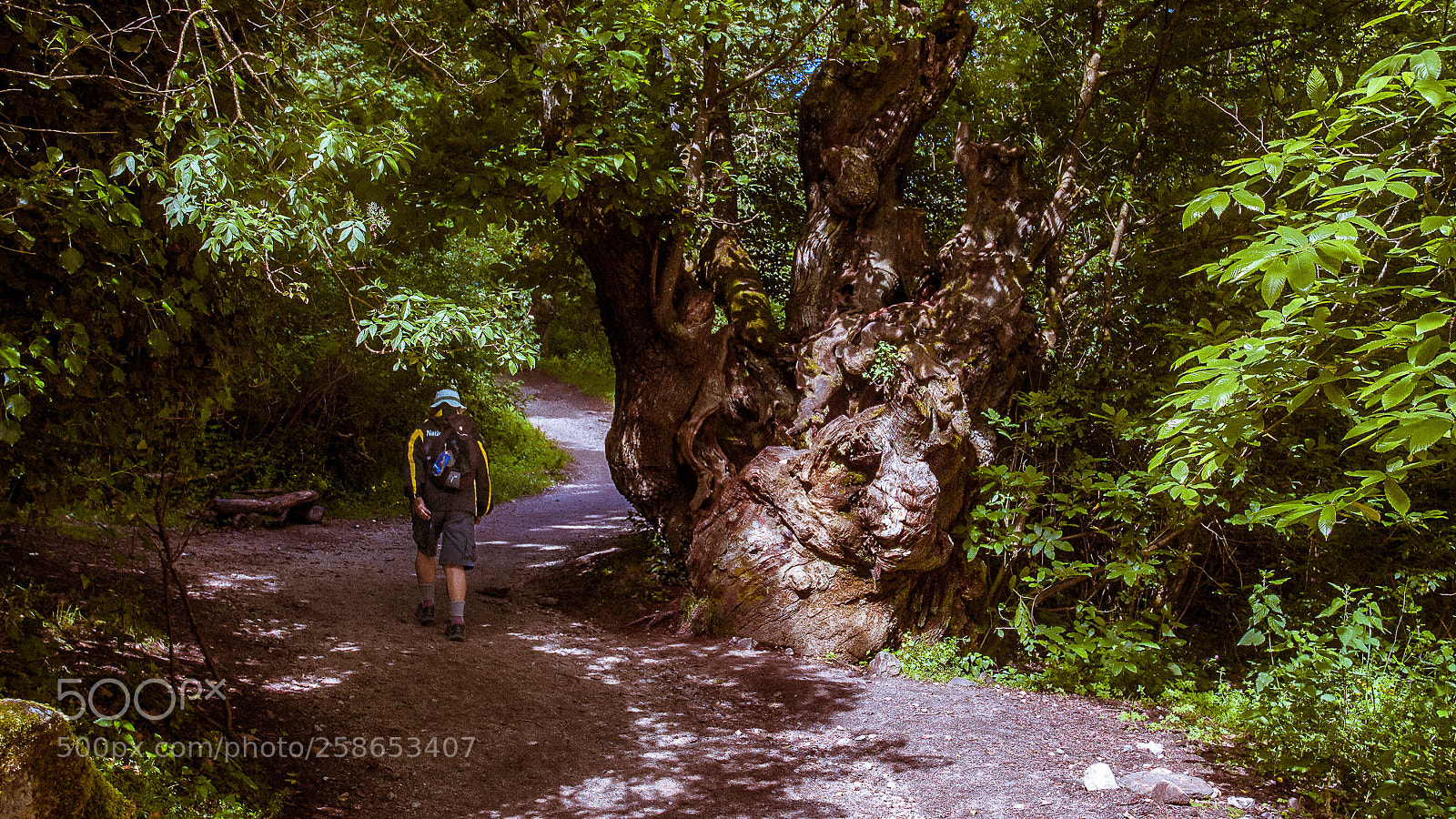Nikon D70s sample photo. Camino de santiago - 5/25 photography