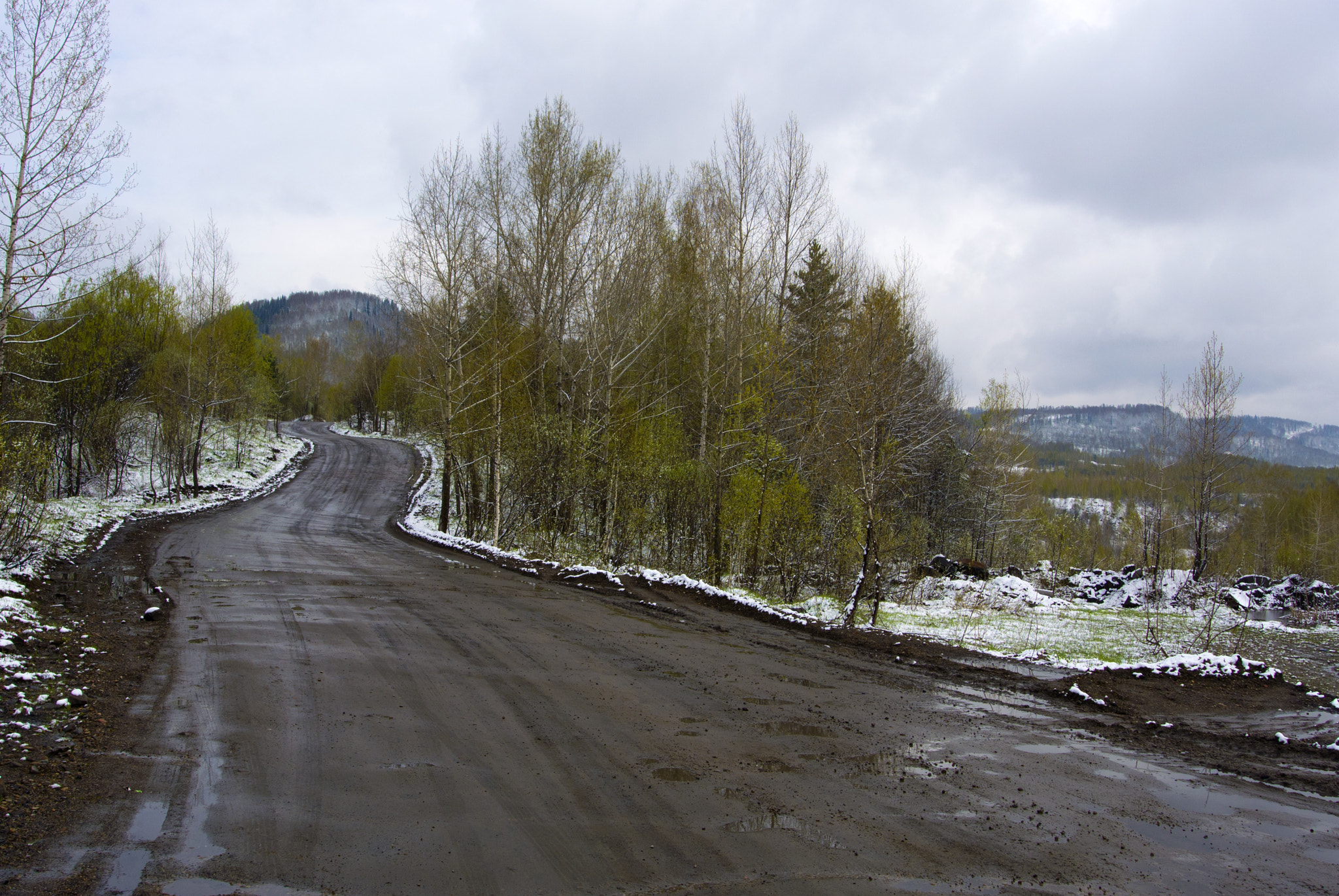 Nikon 1 V1 sample photo. The roads that we choose photography