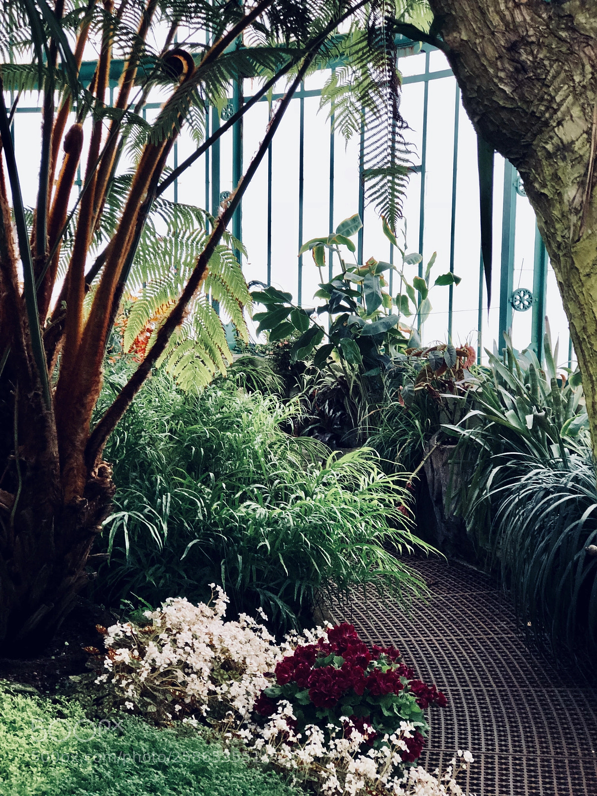 Apple iPhone 8 Plus sample photo. Royal greenhouses 10 photography