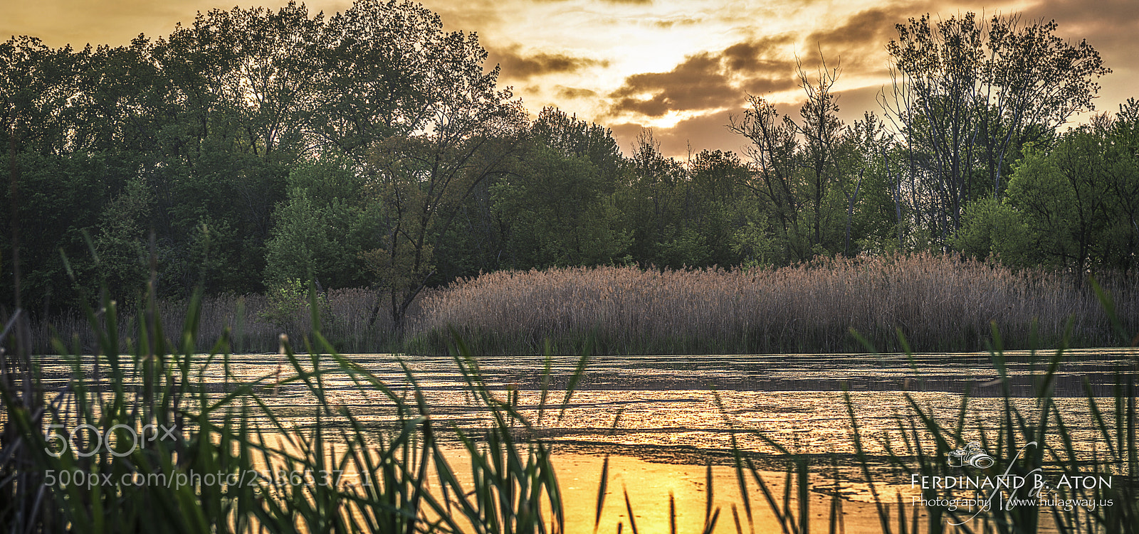 Nikon D800 sample photo. Merrillville photography