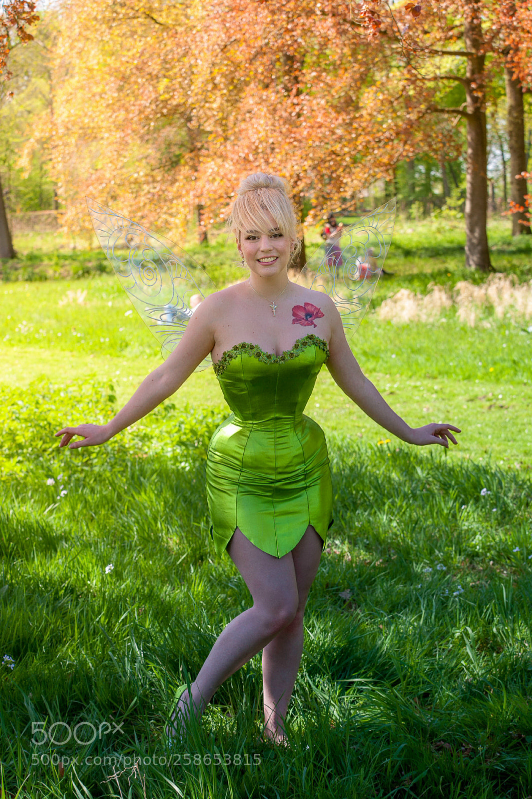 Nikon D3 sample photo. Elfia 2018 series photography