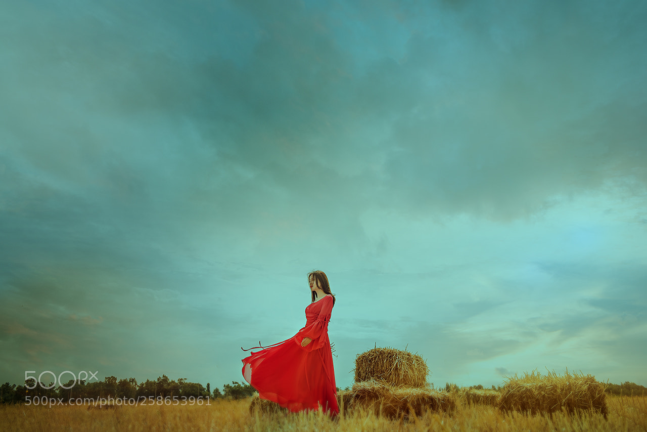 Nikon D810 sample photo. Untitled photography