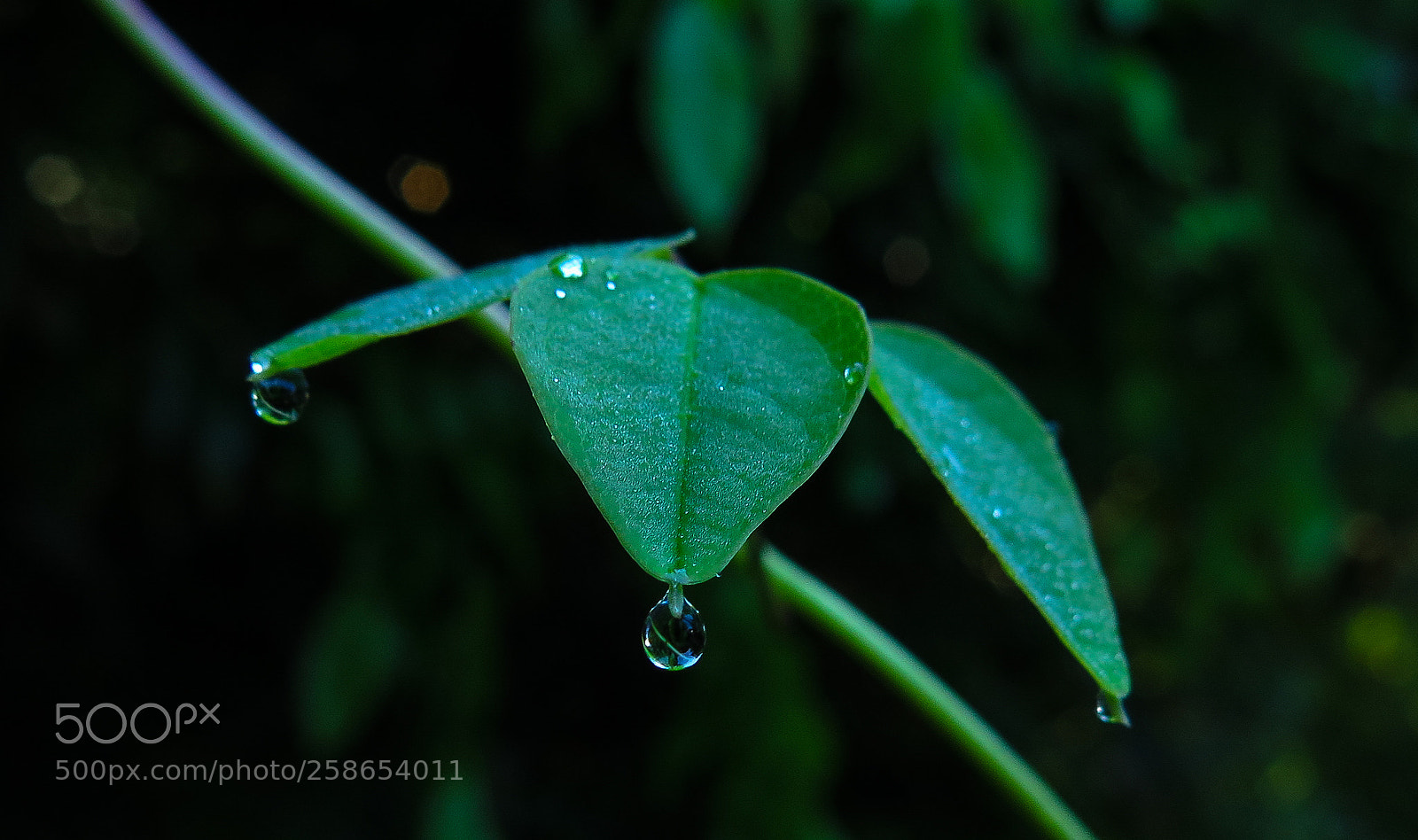 Canon PowerShot G16 sample photo. Water droplets photography