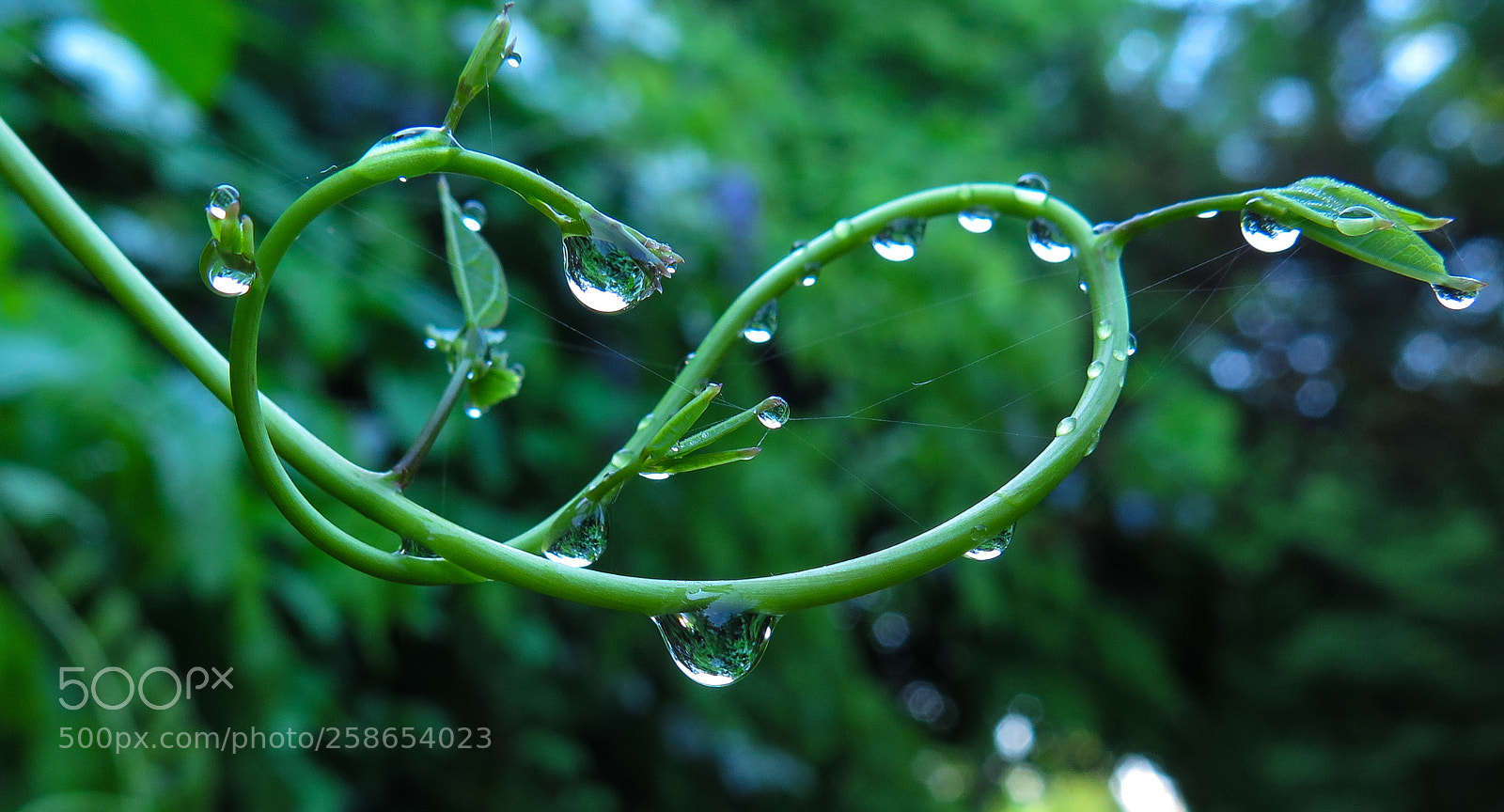 Canon PowerShot G16 sample photo. Water droplets photography