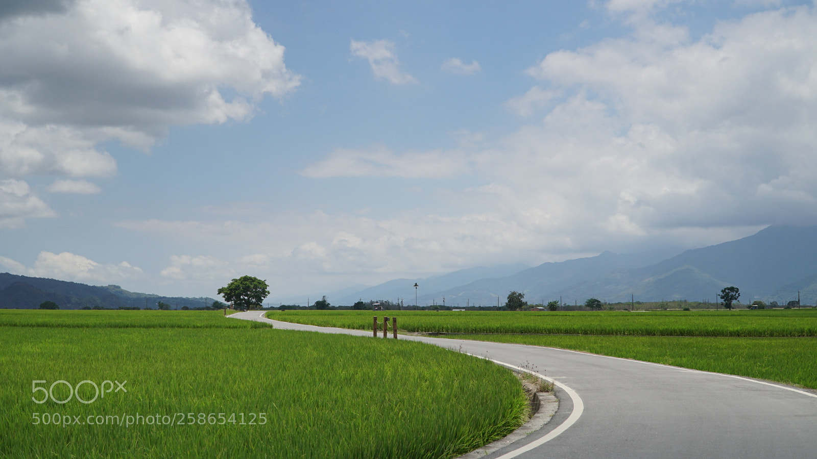 Sony a6300 sample photo. 台東 田 田 田 photography