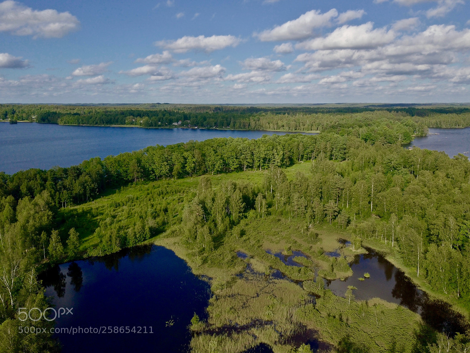 DJI FC220 sample photo. Complex sit of small photography