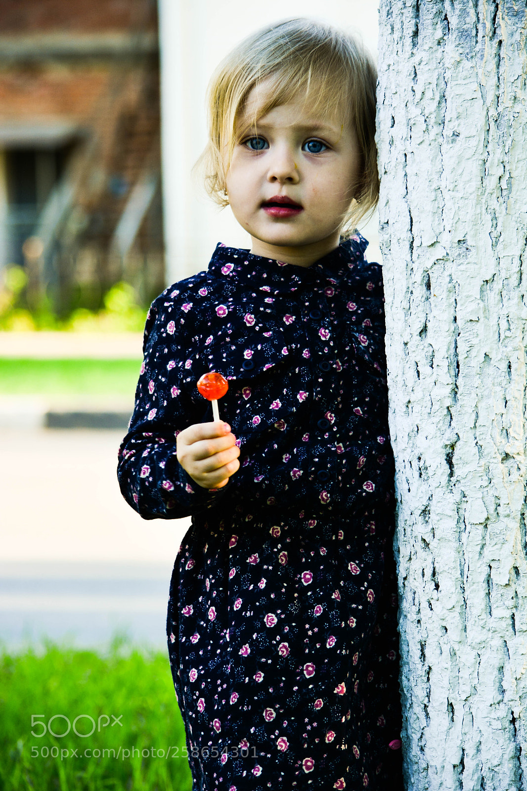 Nikon D5200 sample photo. Honey photography