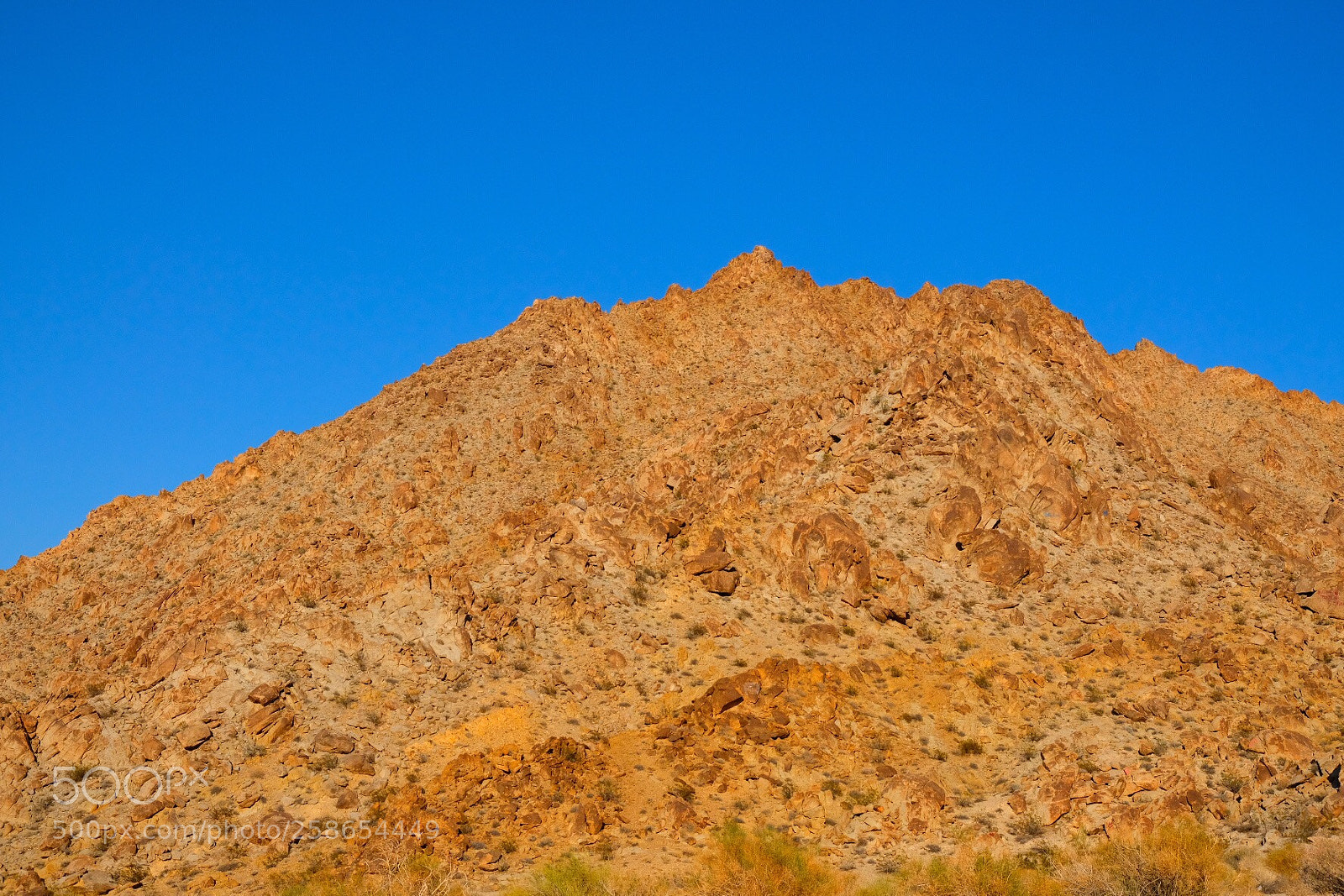 Fujifilm X-T2 sample photo. On the way to photography