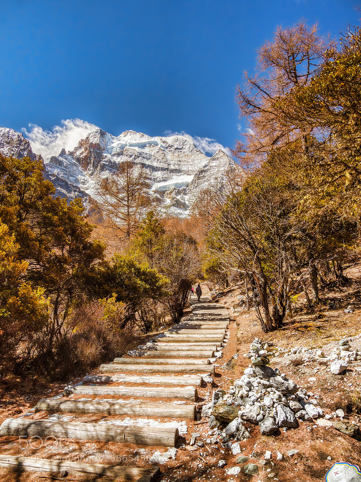 Olympus OM-D E-M1 Mark II sample photo. Yading nature reserve of photography