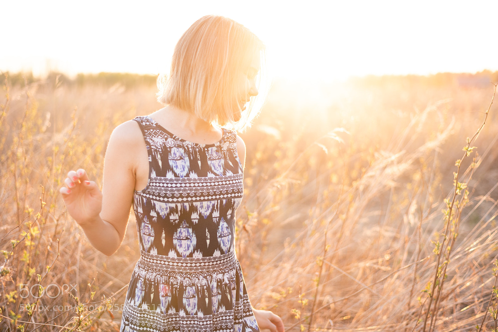 Nikon D750 sample photo. Summer evening photography