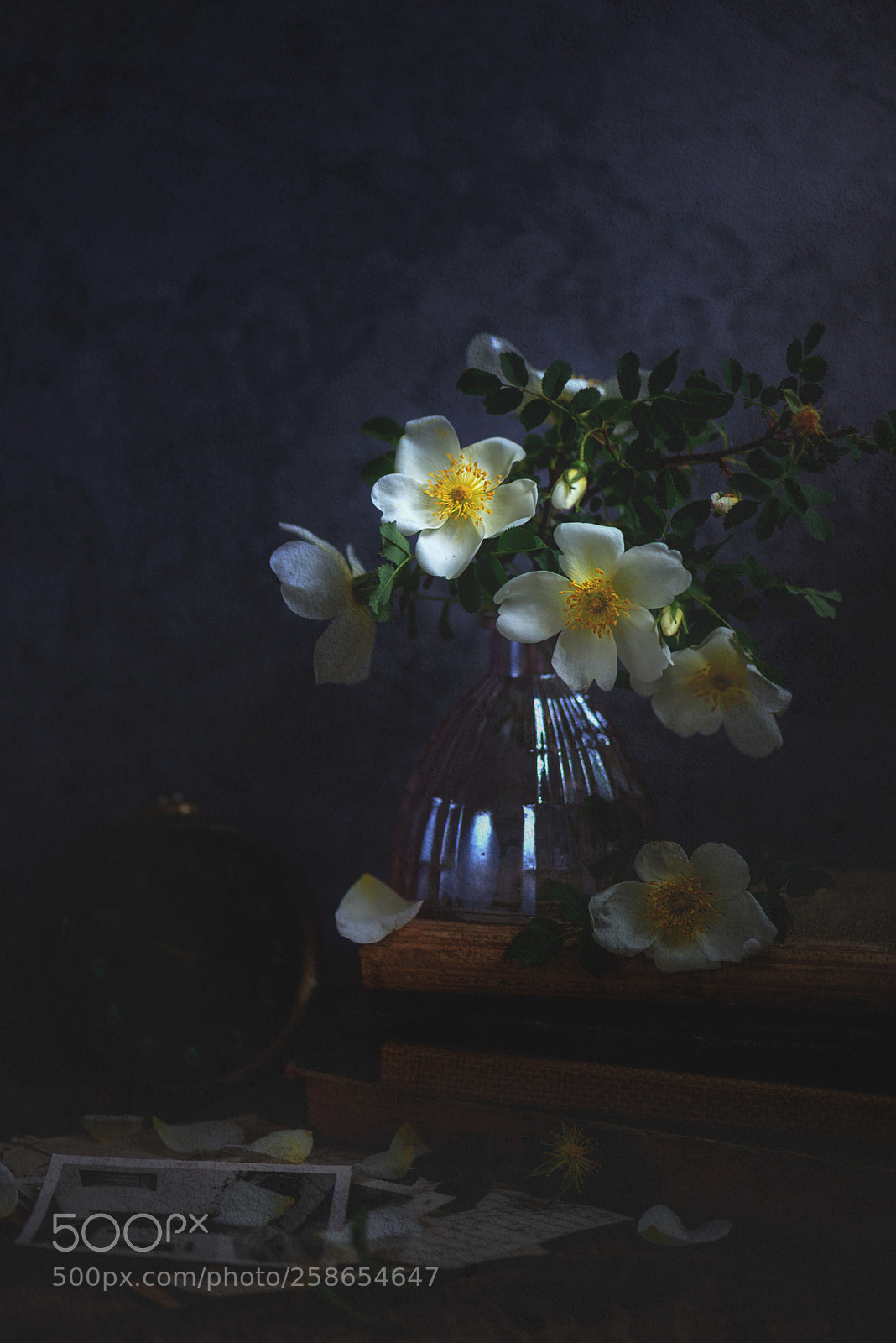 Nikon D610 sample photo. Forever love. photography