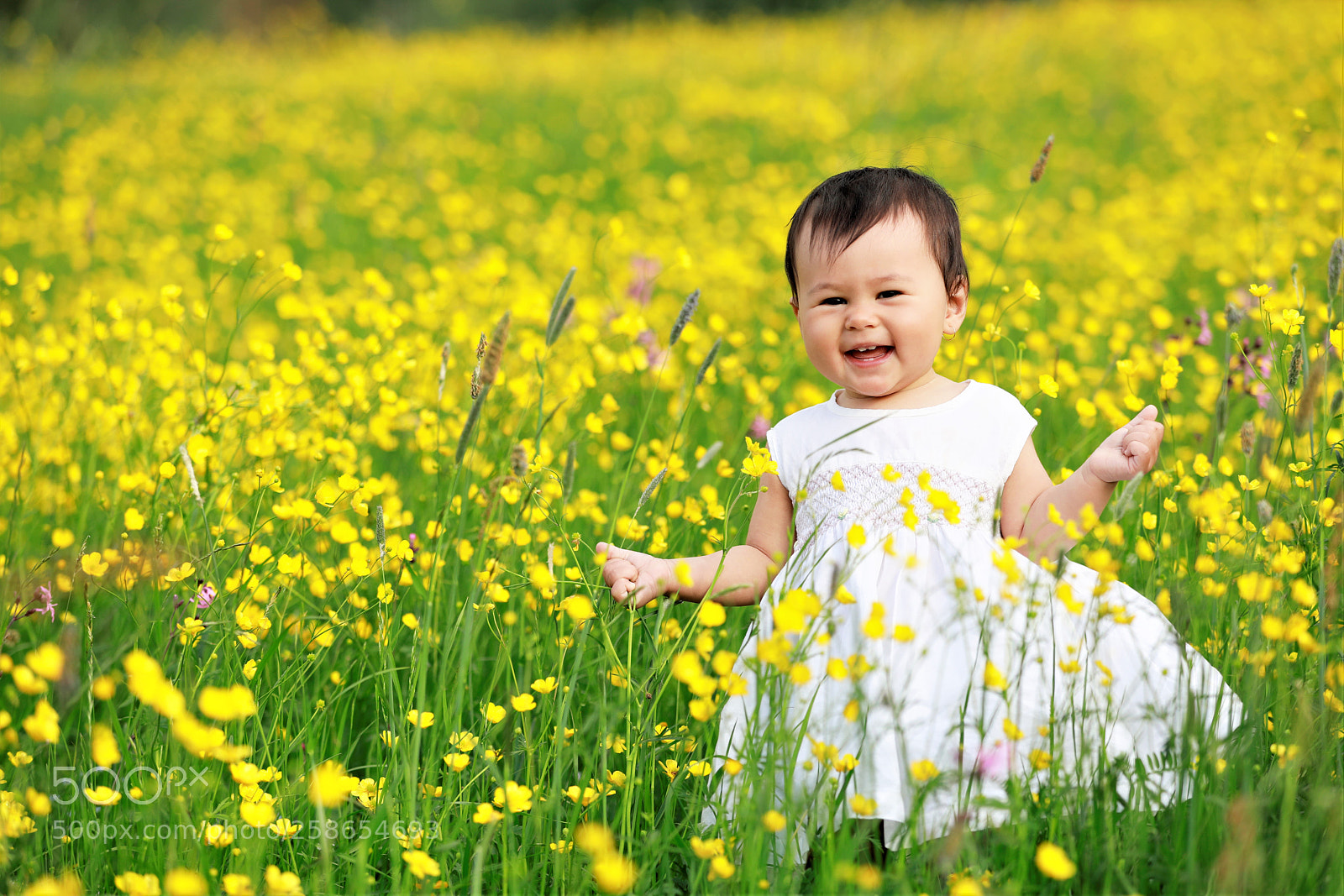 Canon EOS 5D Mark IV sample photo. Little child between flowers photography