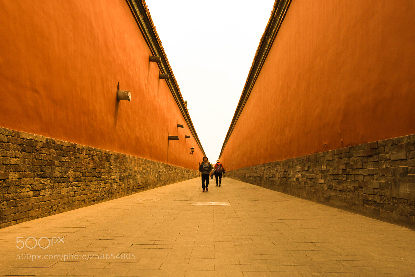 Nikon D7200 sample photo. The palace museum photography
