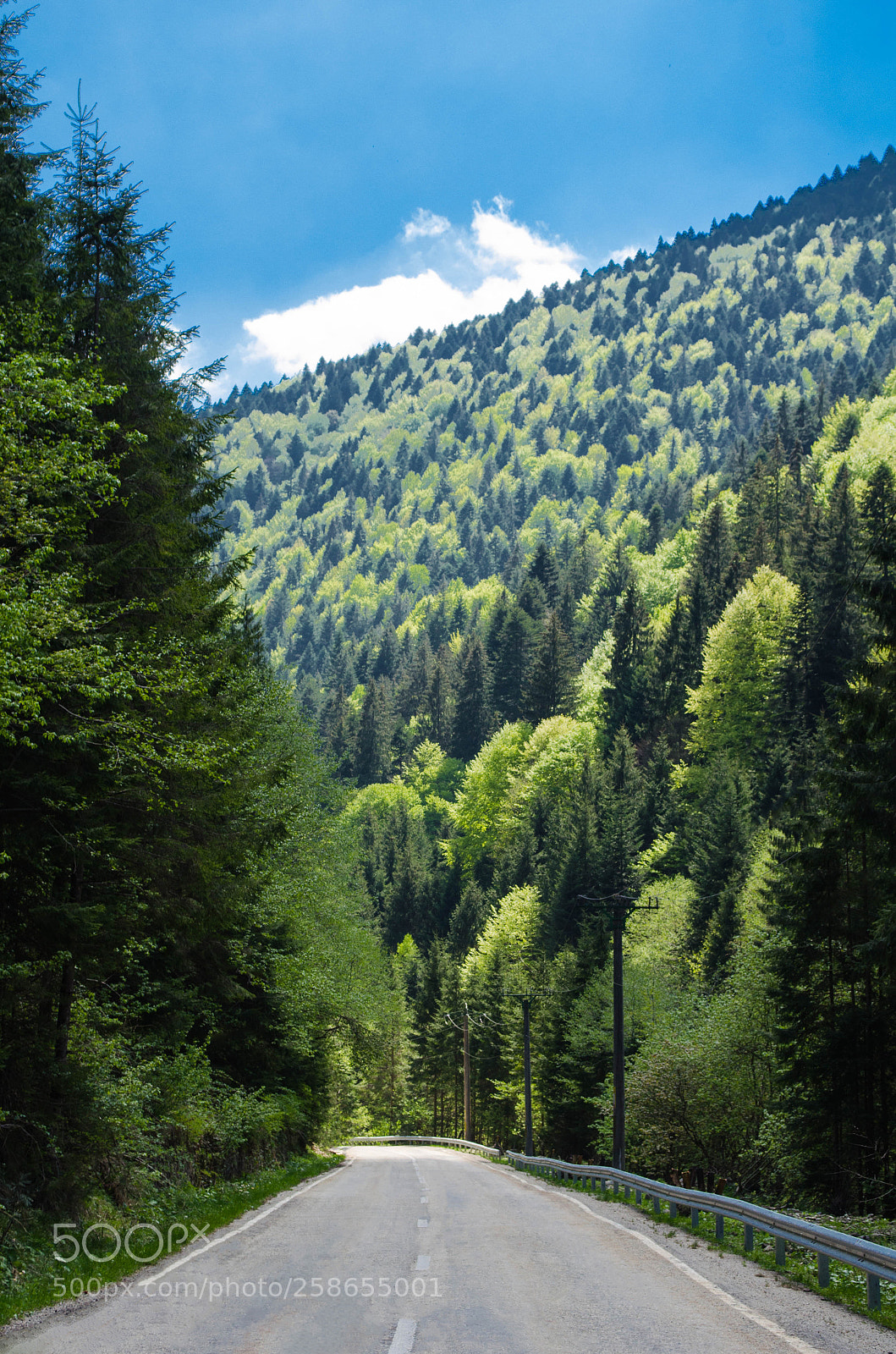 Nikon D5100 sample photo. Scenic highway photography