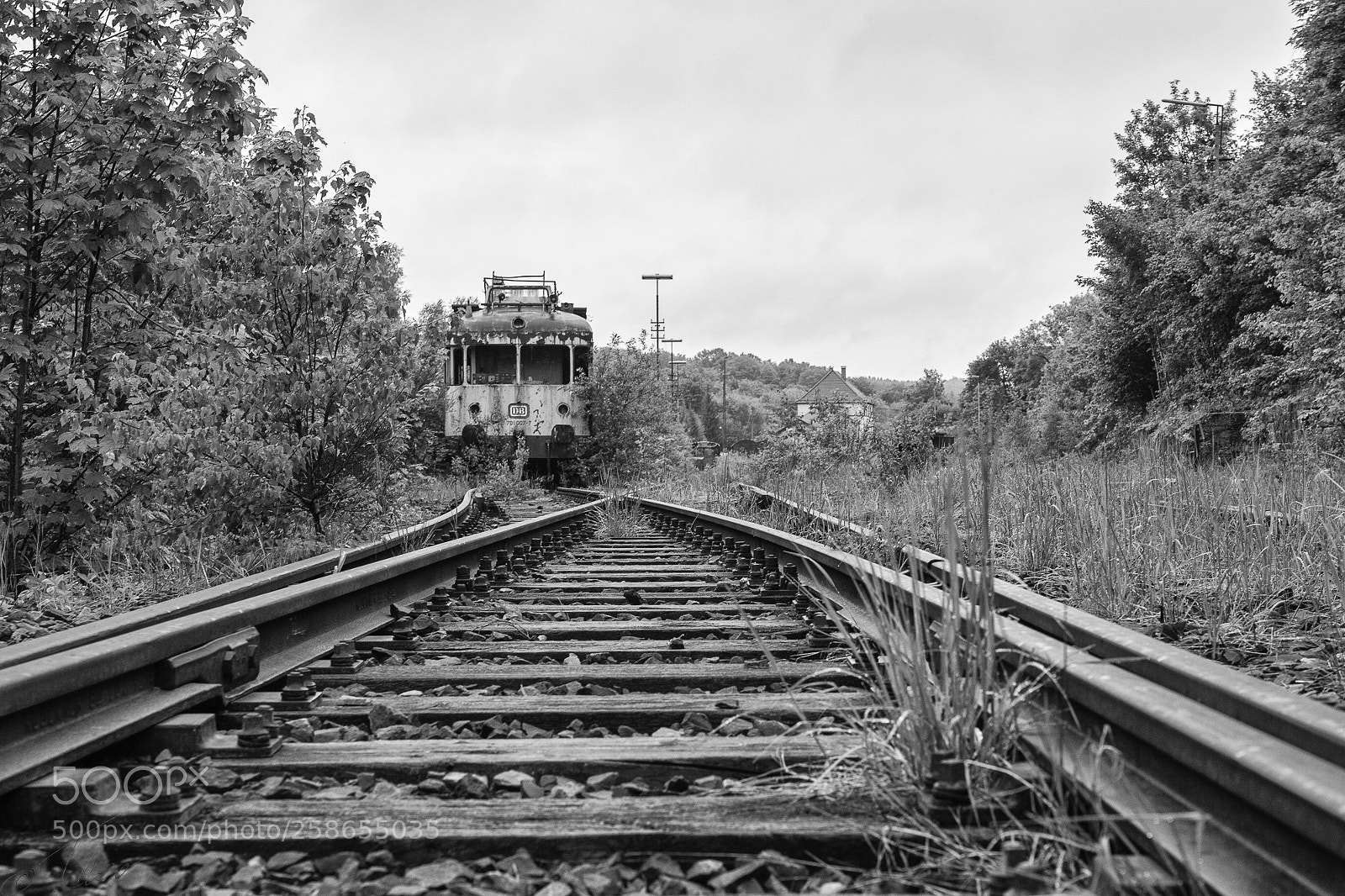 Canon EOS 6D sample photo. Dead end photography