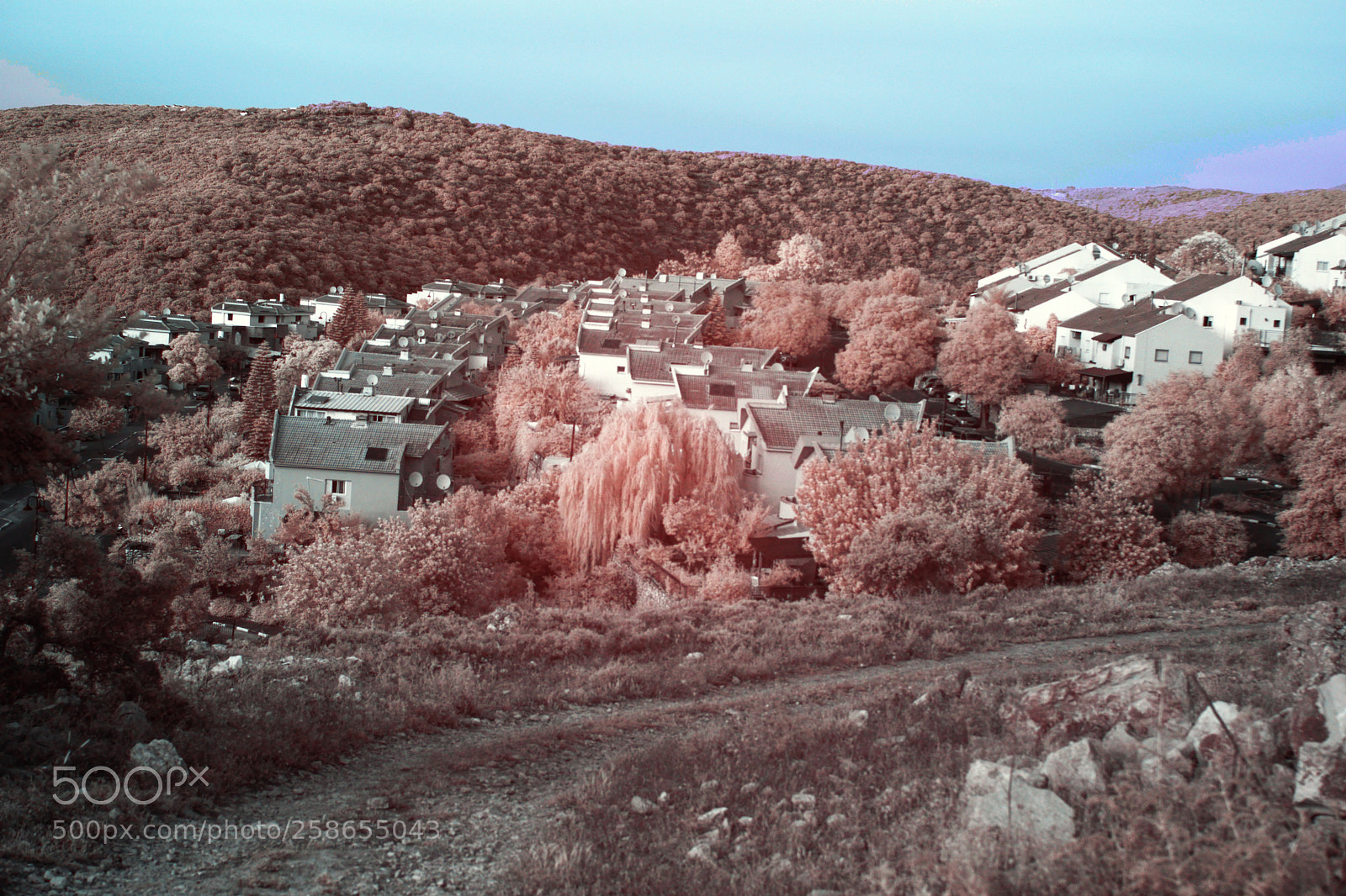Nikon D3300 sample photo. Ir test #3 photography