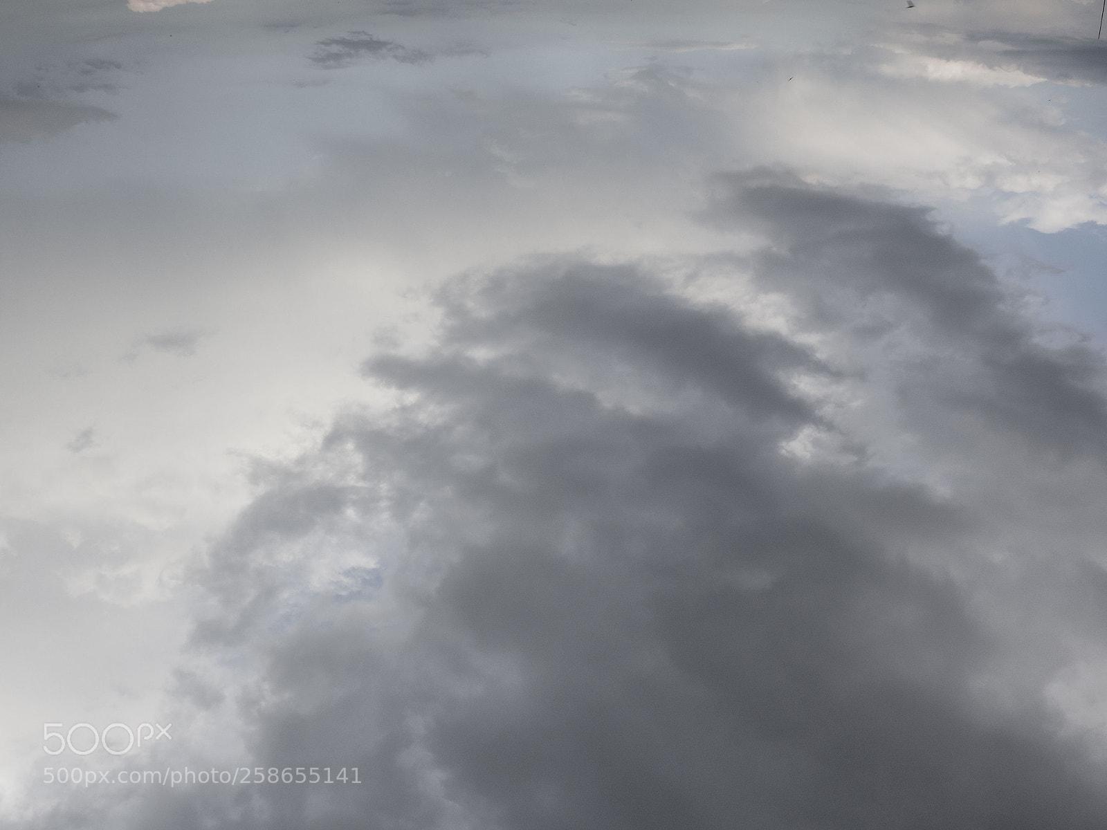 Olympus OM-D E-M10 II sample photo. Tender sky photography