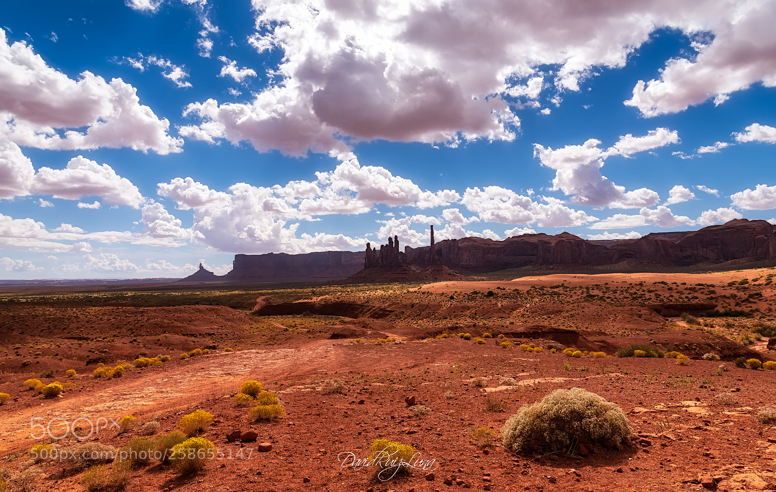 Nikon D750 sample photo. Navajo nation reservation photography
