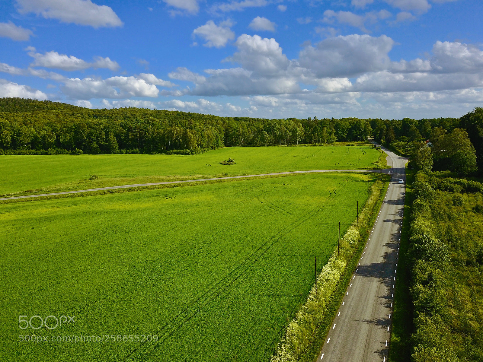 DJI FC220 sample photo. Cultivated field aerial view photography