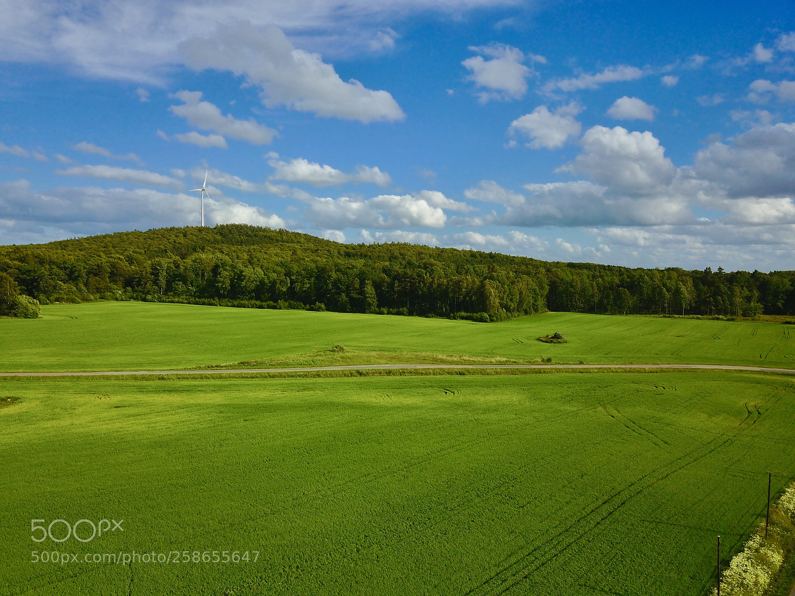 DJI FC220 sample photo. Cultivated field aerial view photography