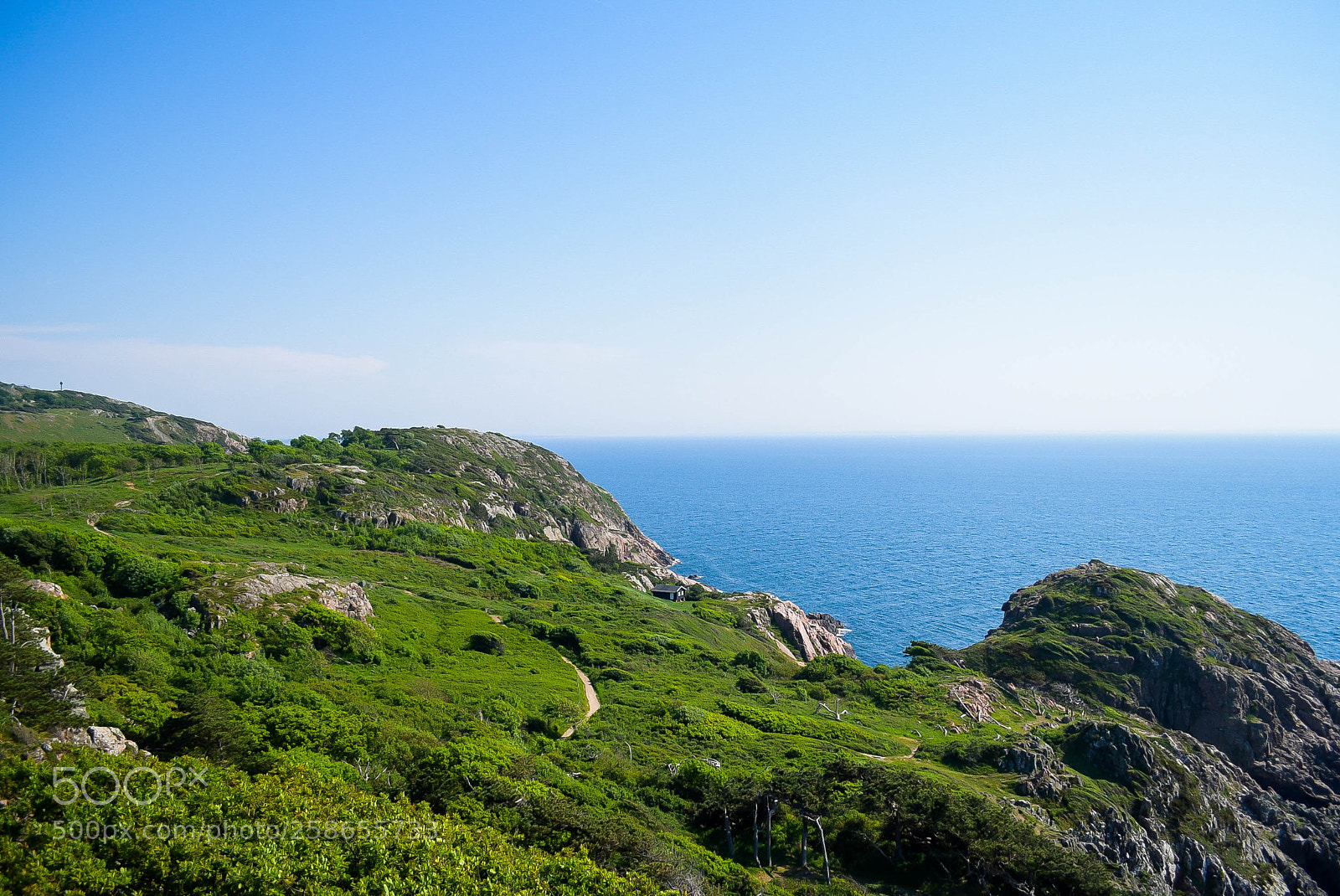 Nikon D750 sample photo. Fyr photography