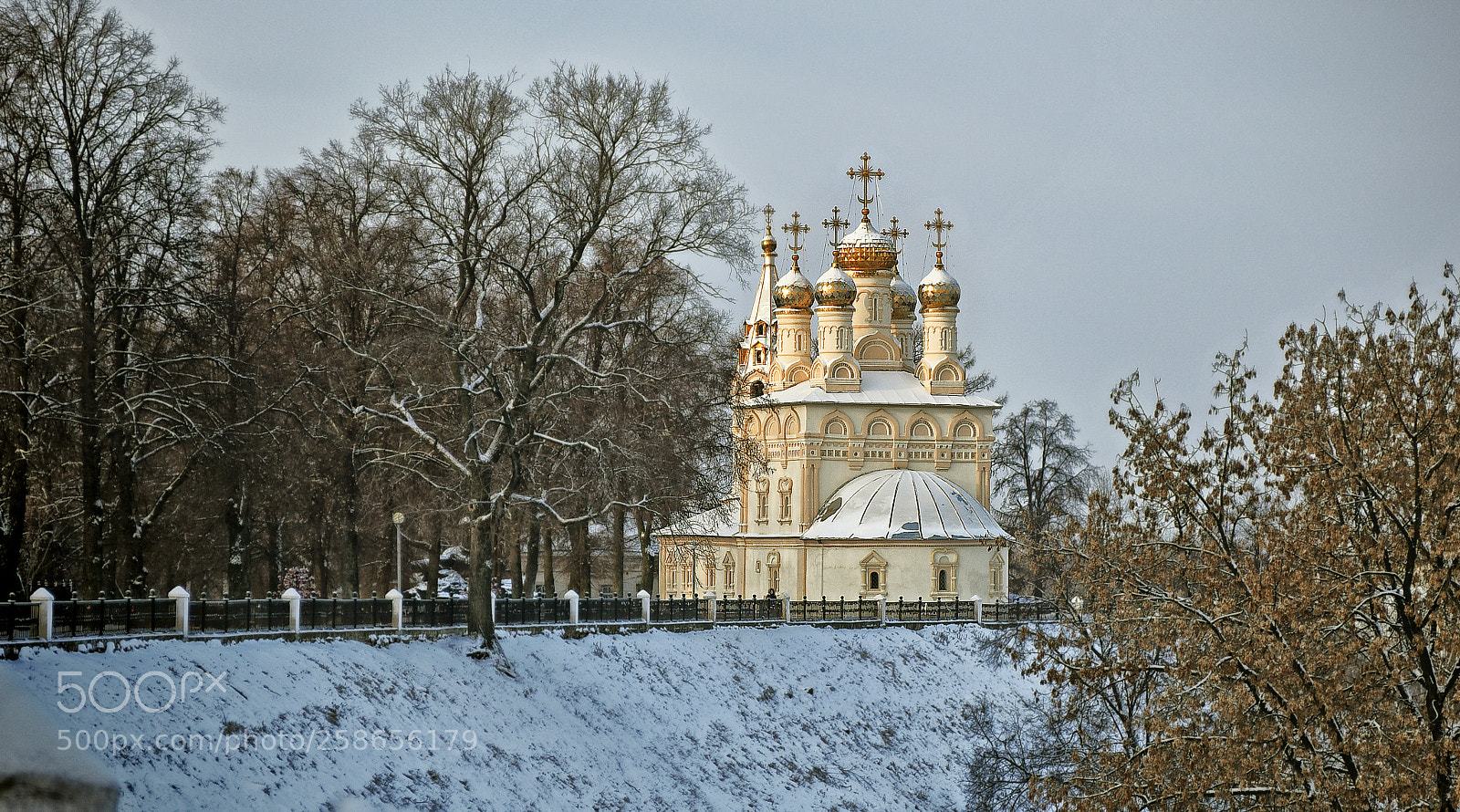 Nikon D750 sample photo. Рязань зимой photography