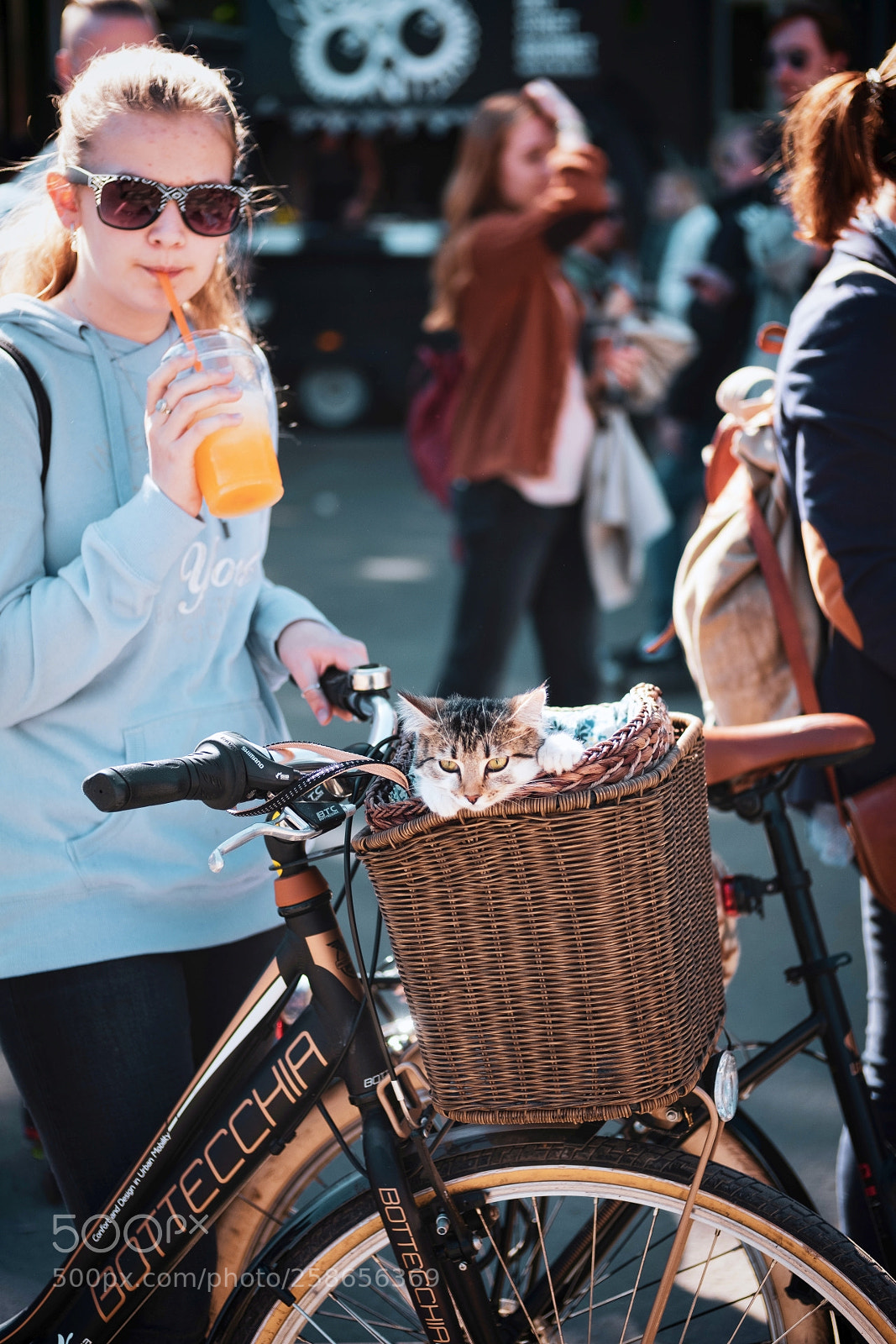 Fujifilm X-T20 sample photo. Girl with kitten photography