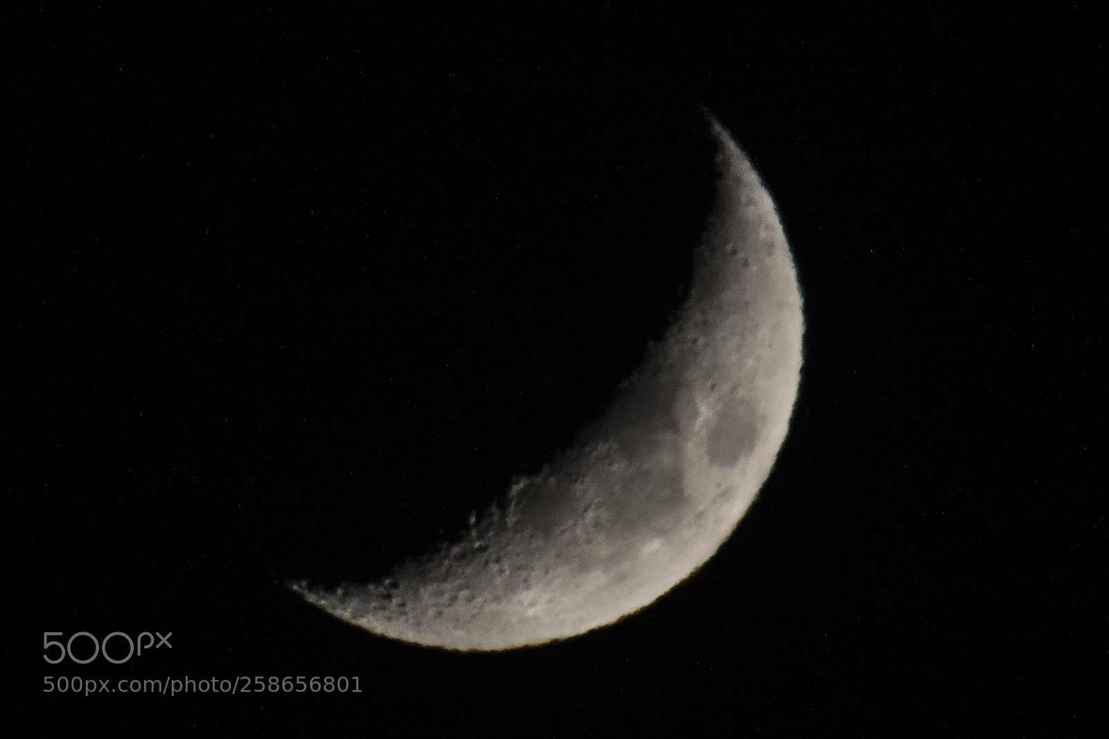 Canon EOS 5D Mark IV sample photo. Saguaro moon photography