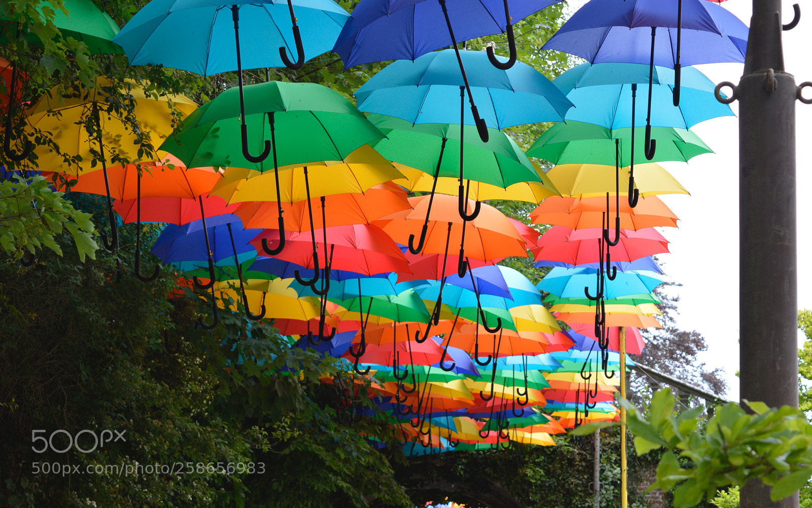 Nikon D3200 sample photo. Pairi daiza photography