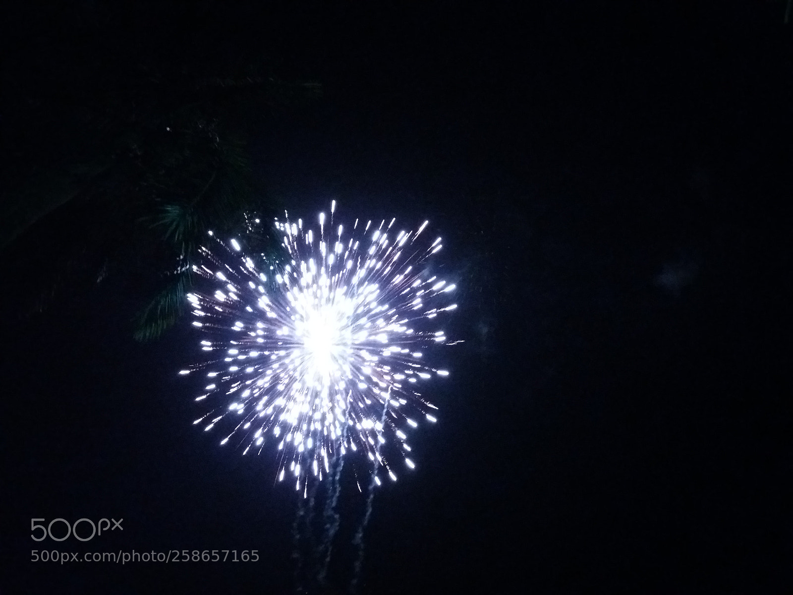 Samsung Galaxy J5 sample photo. Untitled photography