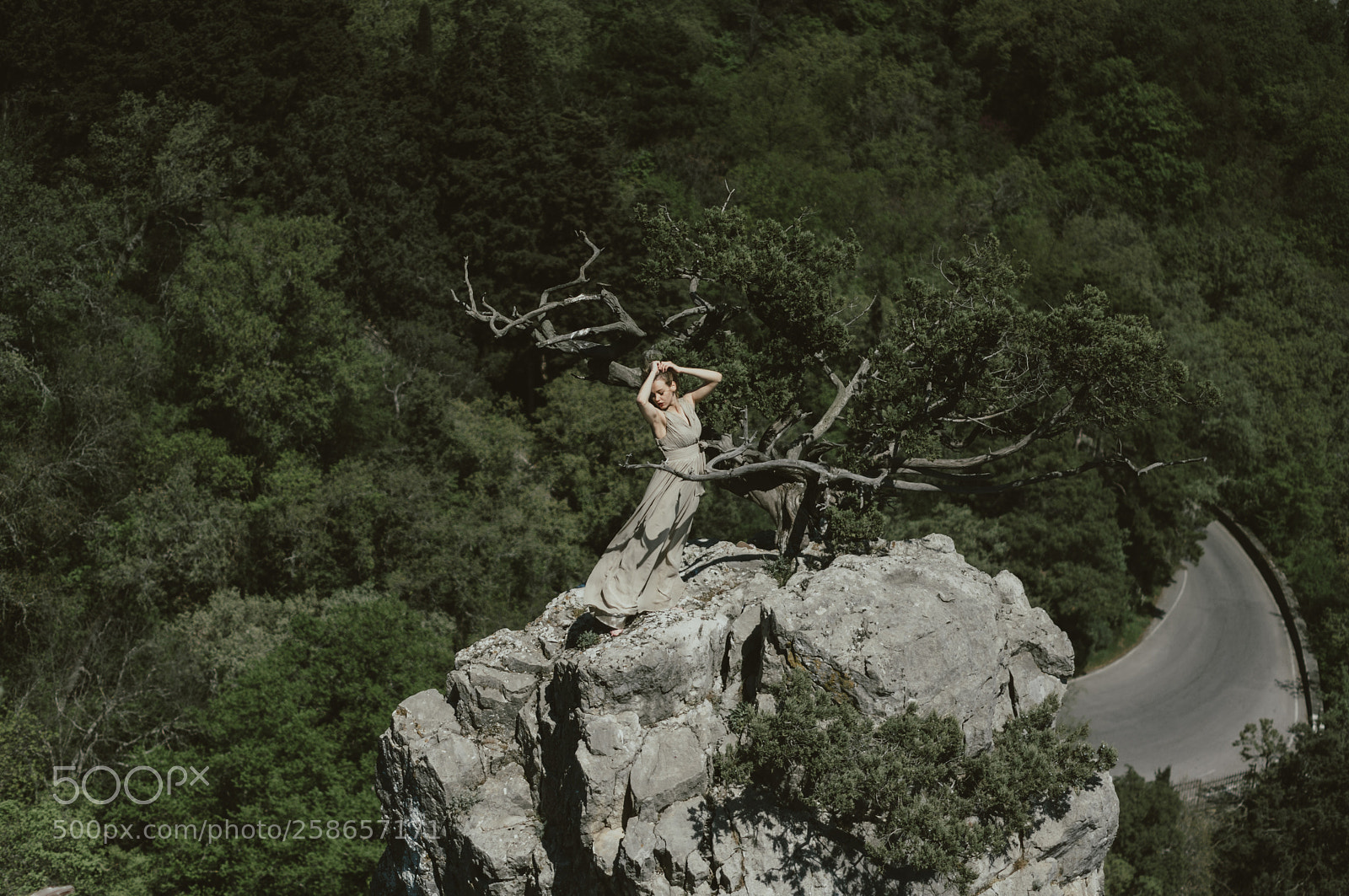 Pentax K-r sample photo. Untitled photography