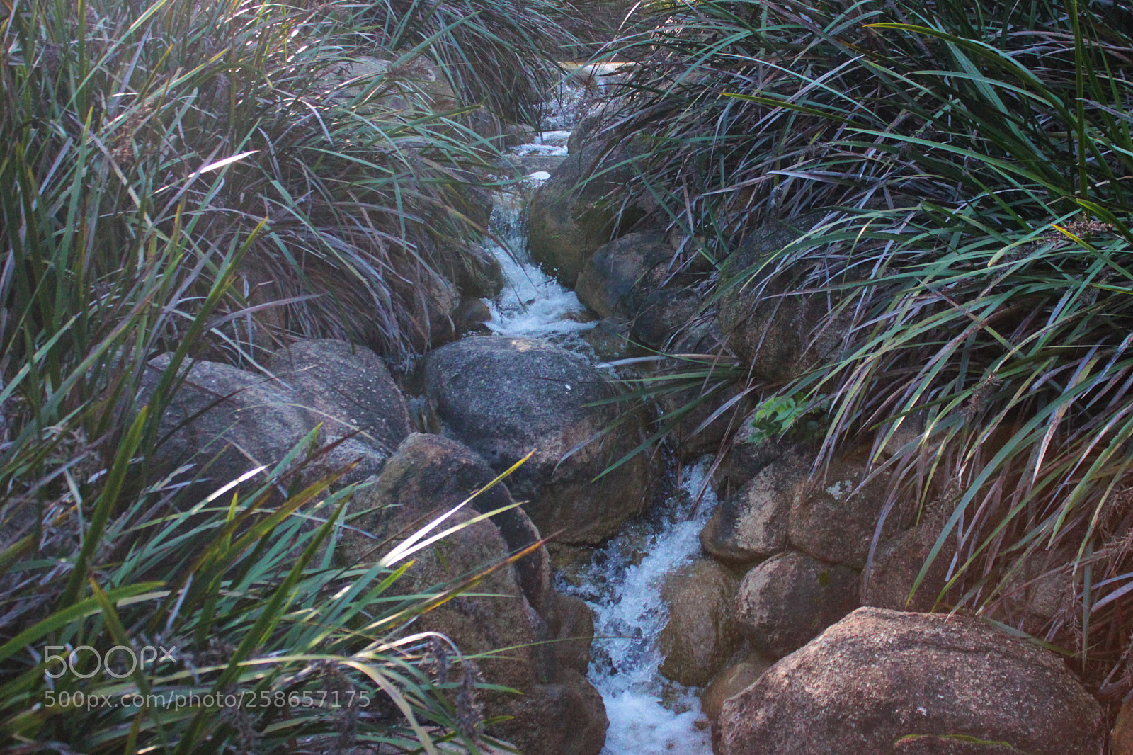 Canon EOS 550D (EOS Rebel T2i / EOS Kiss X4) sample photo. Kings park waterfall photography