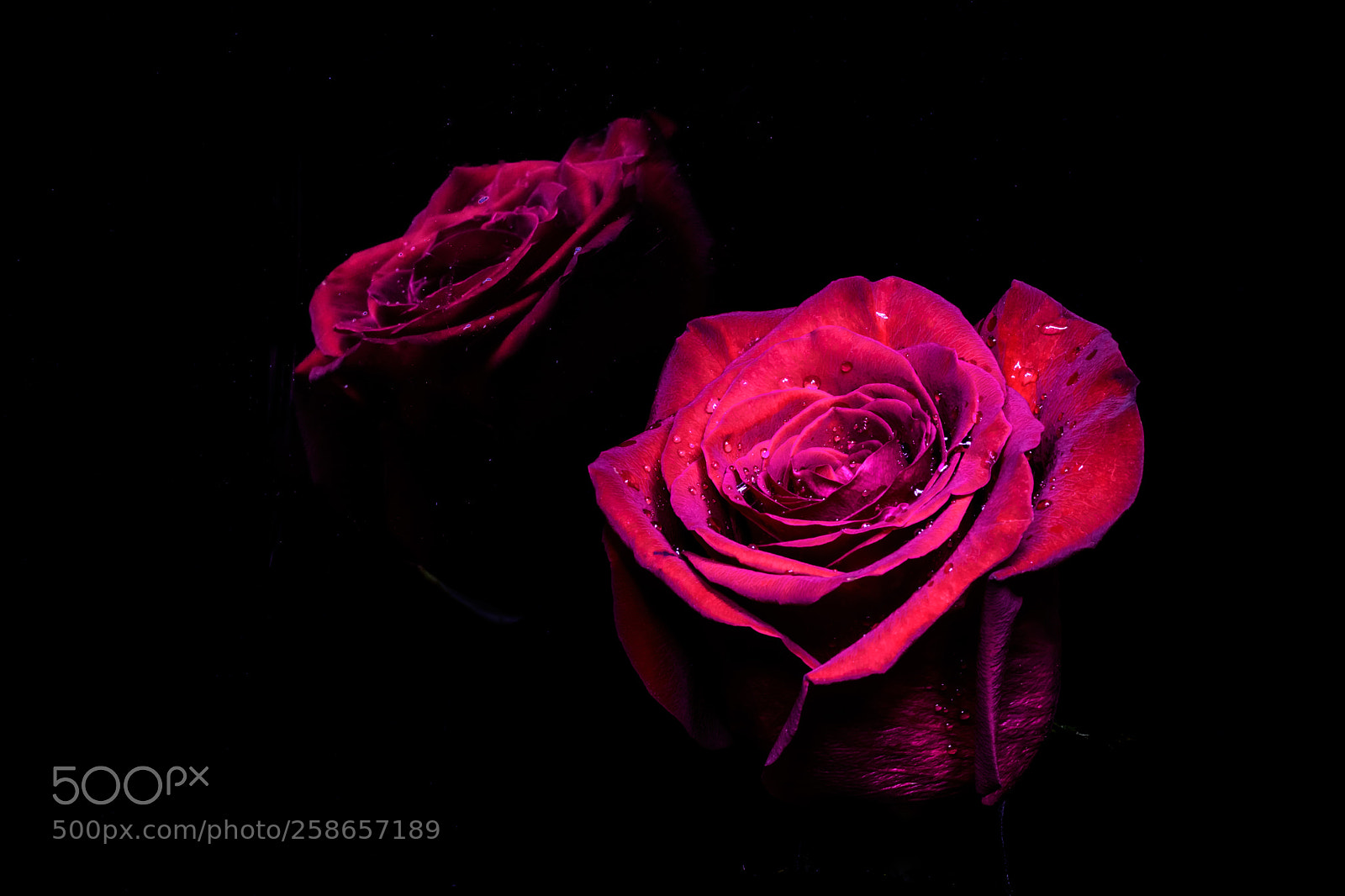 Nikon D7200 sample photo. Calma photography