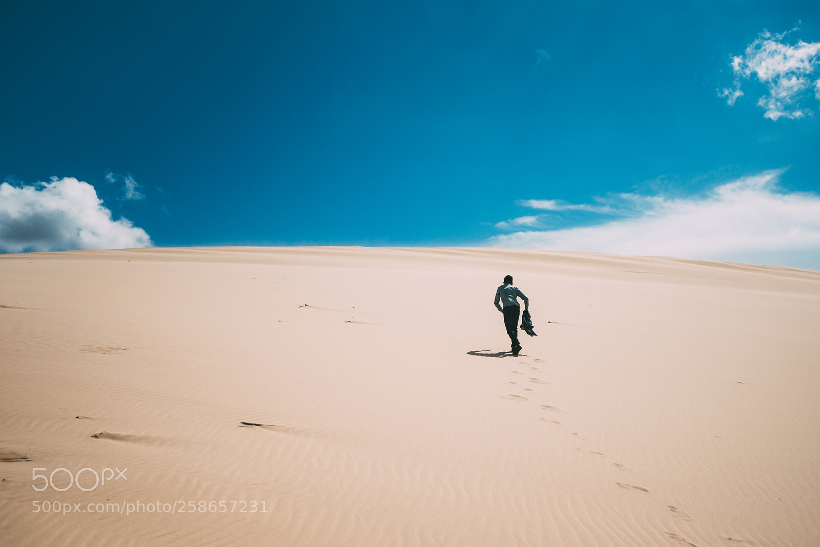 Nikon D810 sample photo. Run run run photography