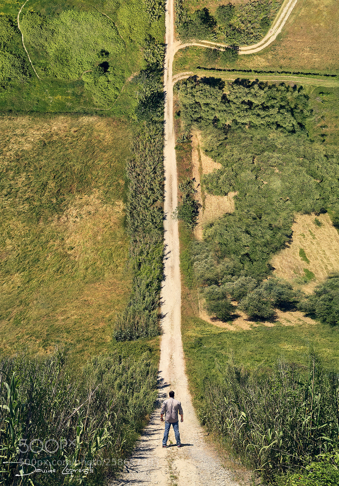 DJI FC220 sample photo. Inception photography