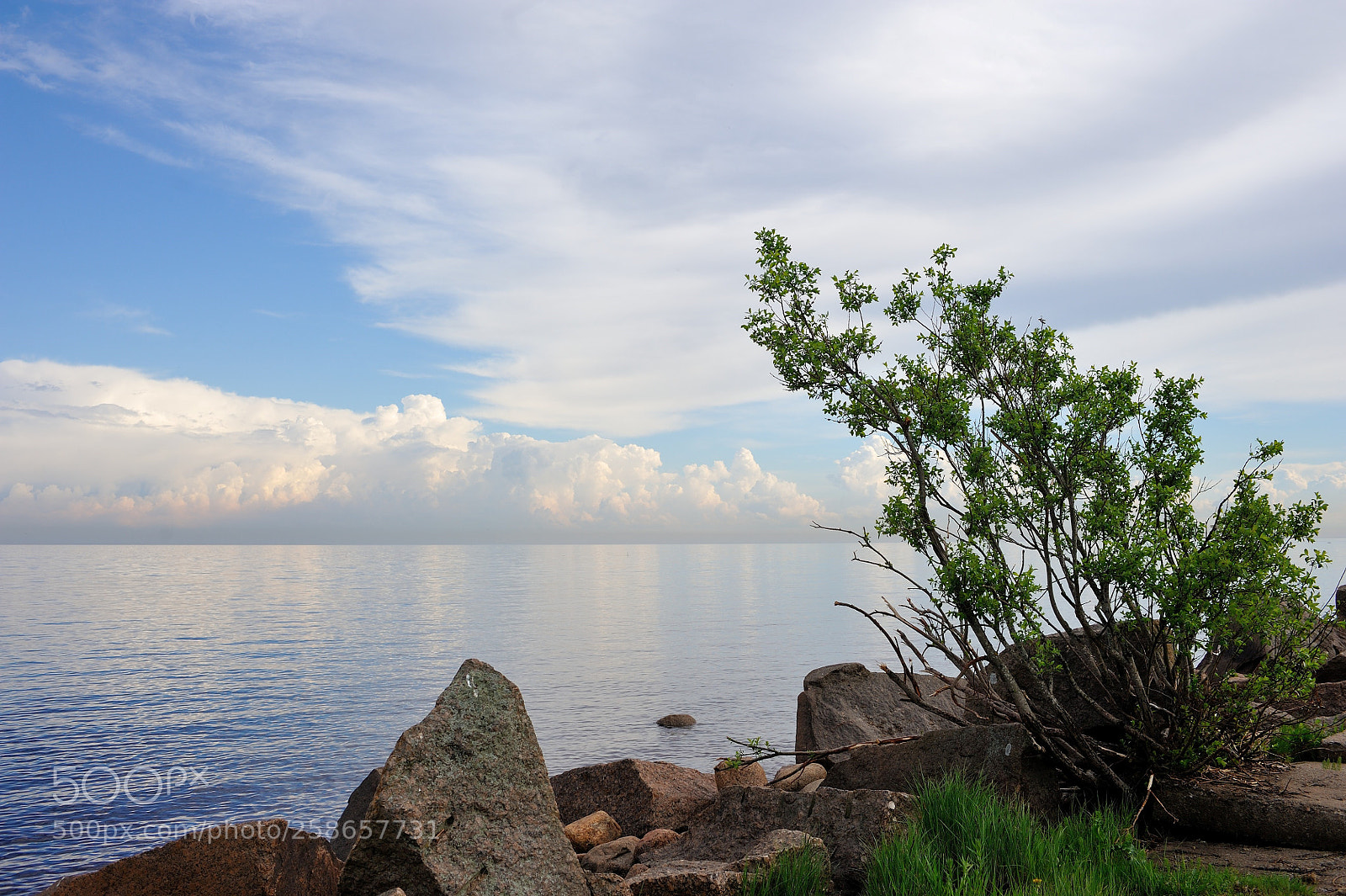 Nikon D700 sample photo. на Финском заливе... #2 photography