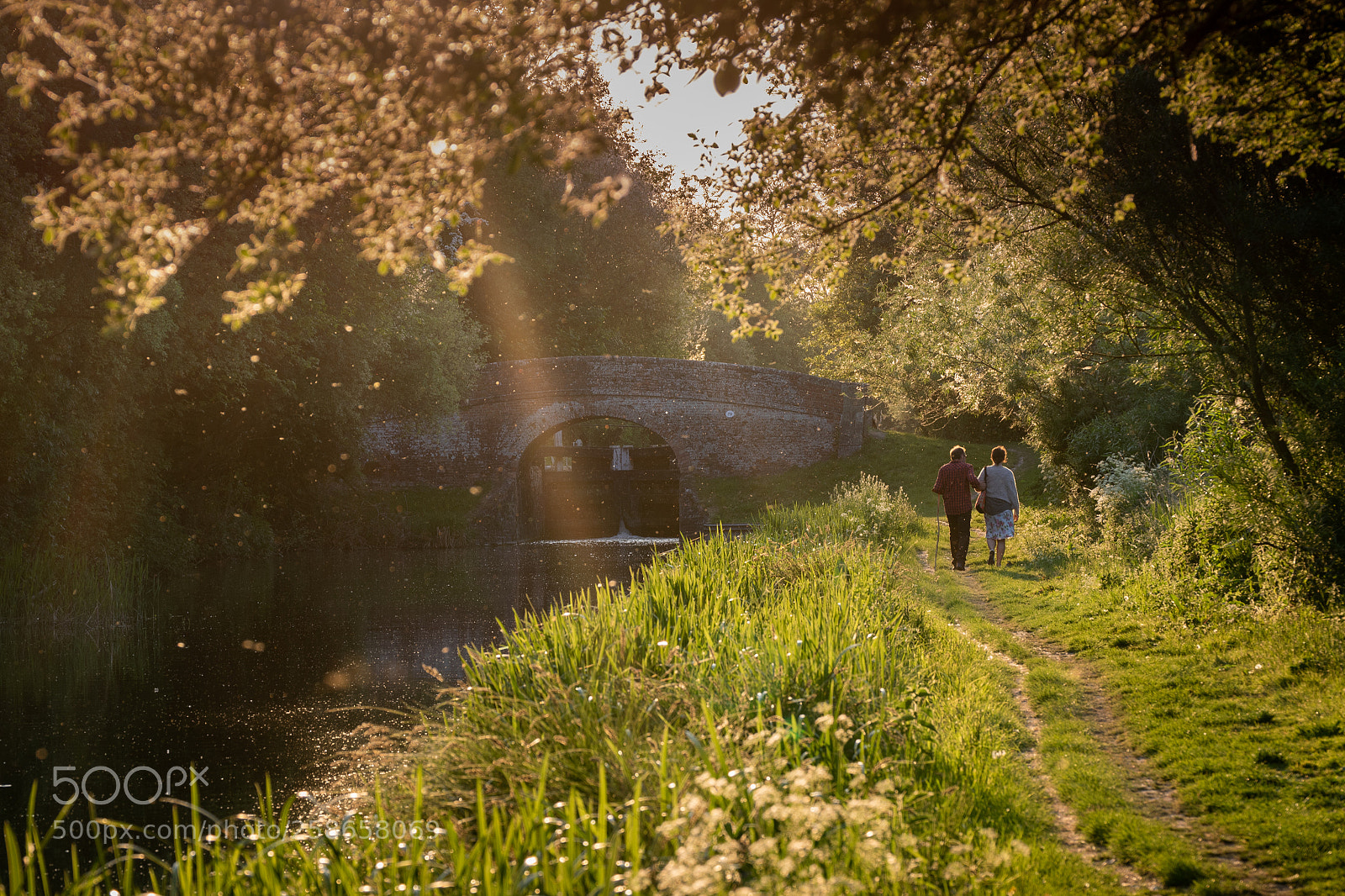 Nikon D3300 sample photo. Evening stroll photography