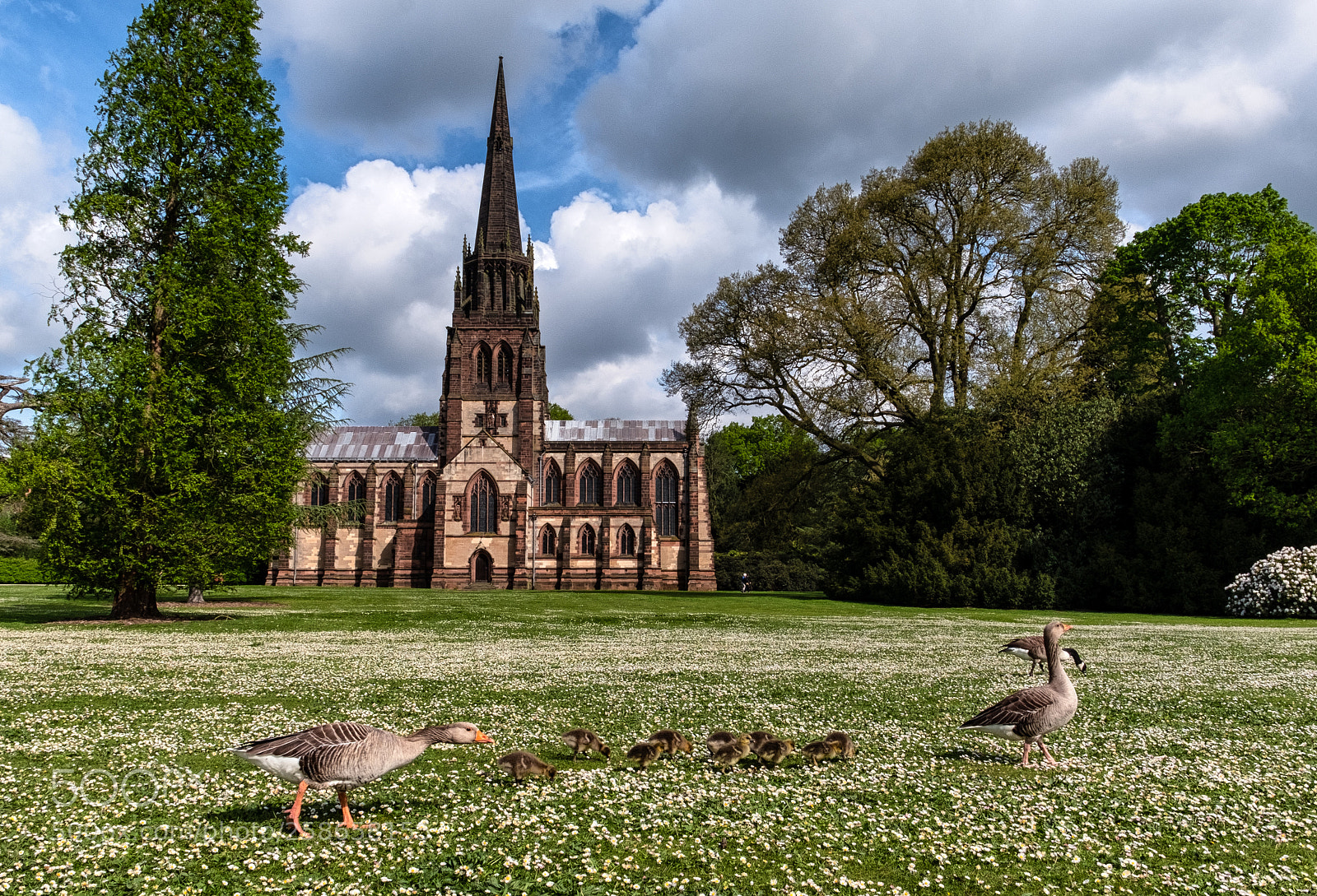Fujifilm X-T2 sample photo. Clumber park photography